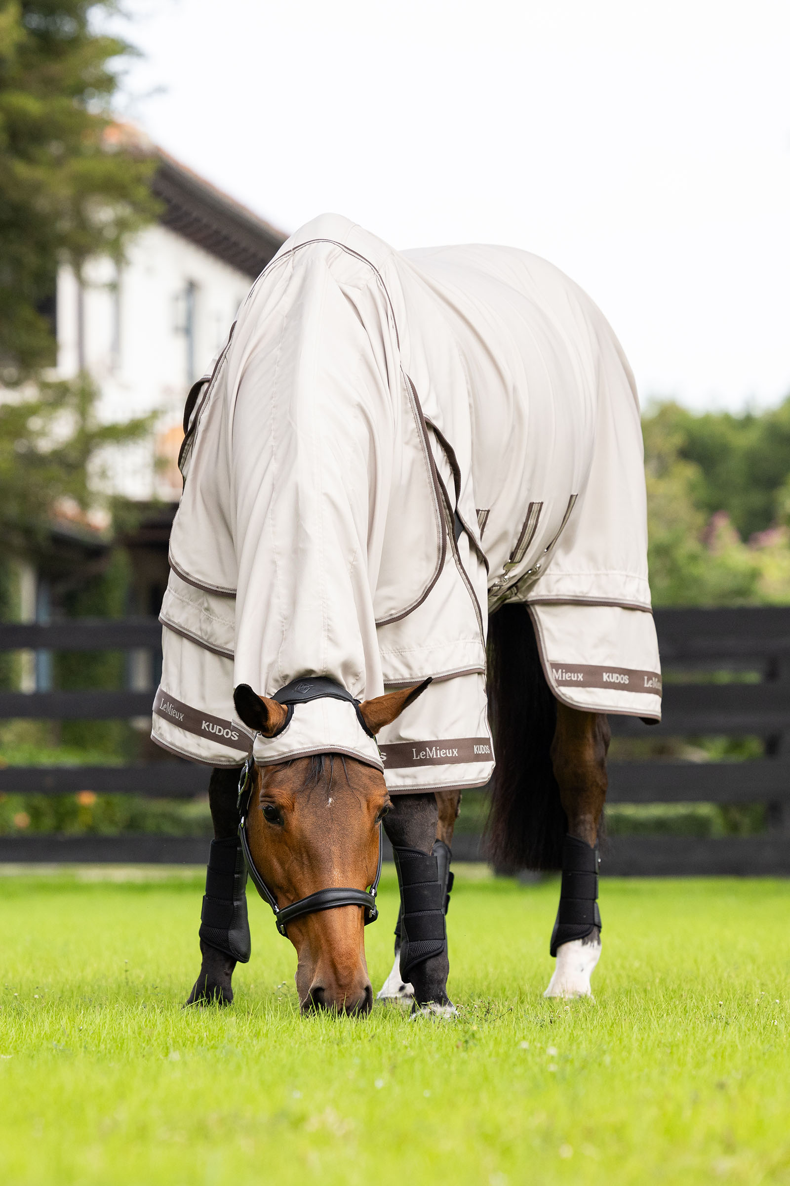 LeMieux Kudos eksemd&aelig;kken