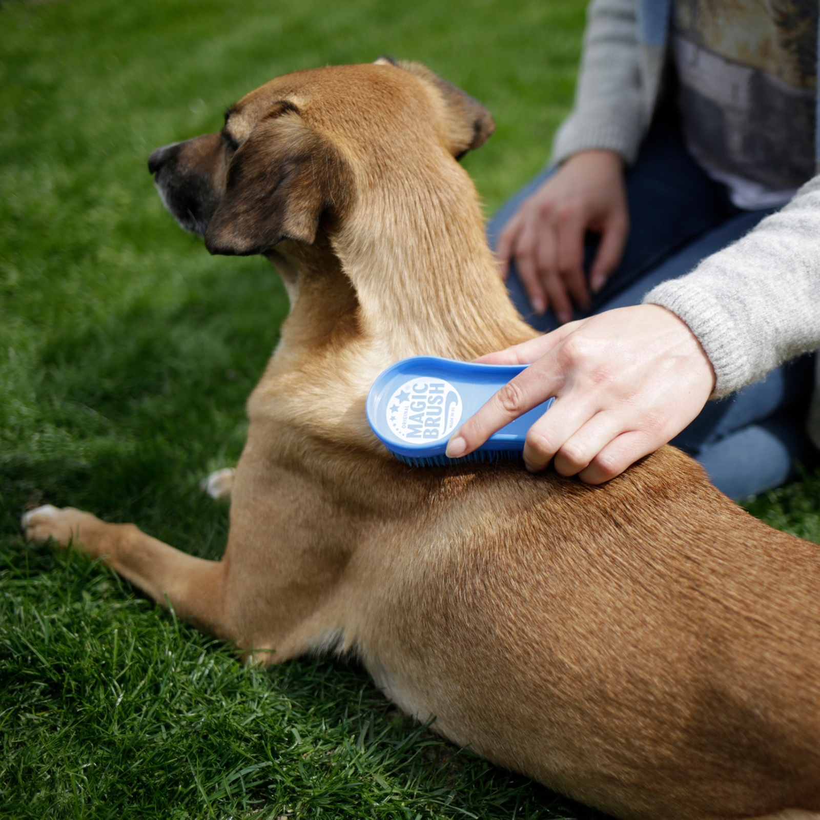 Kerbl Magic Hundebørste