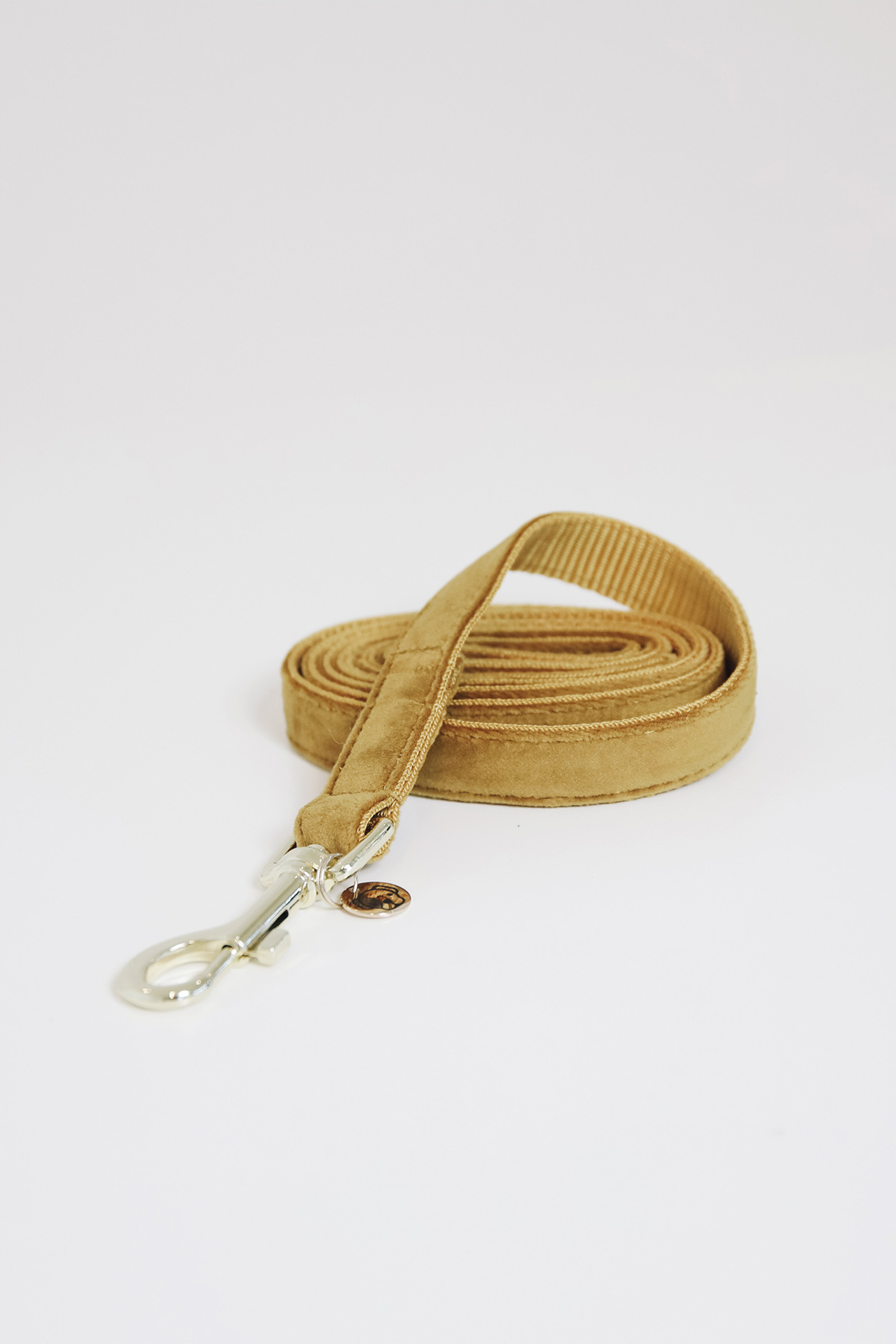 Maize Yellow Kentucky Dogwear Dog Lead Velvet hundesnor