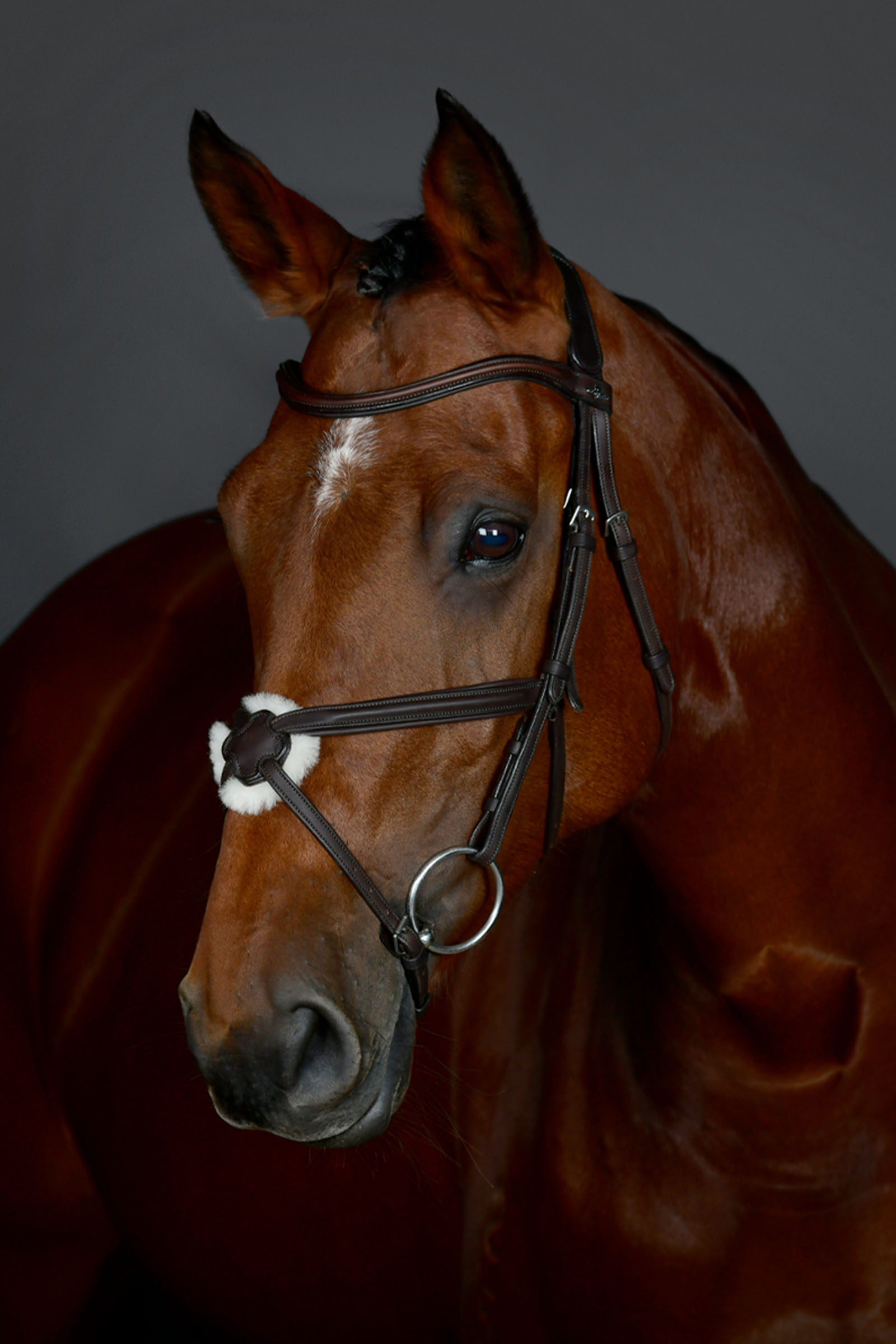 Collegiate Comfitec Opulux klassisk foret trense med mexikansk næsebånd