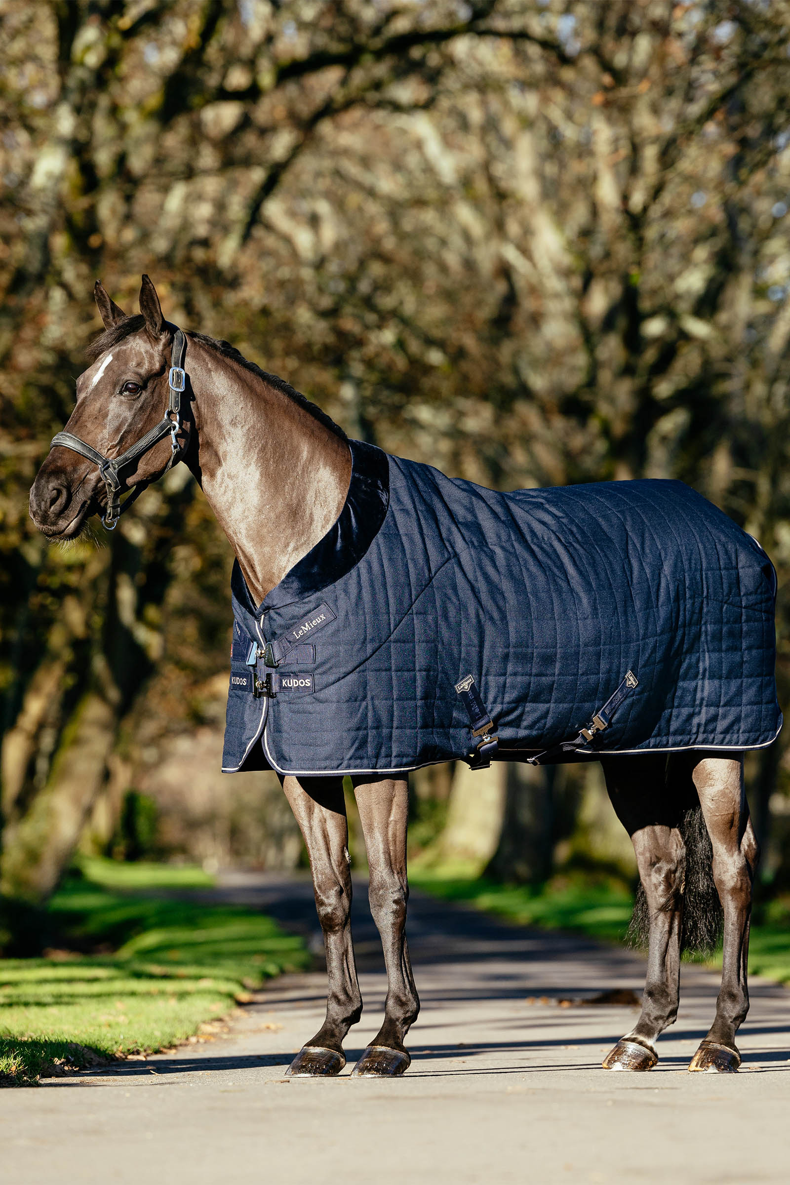 LeMieux Kudos Luxe foret staldd&aelig;kken, 100 g