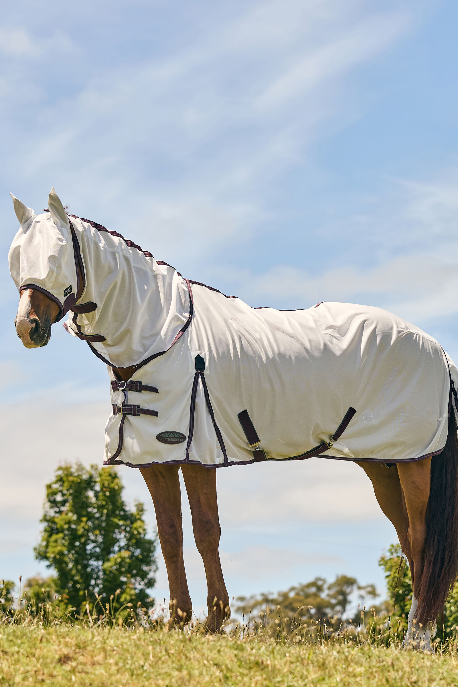 Weatherbeeta Comfitec Essential mesh-maske