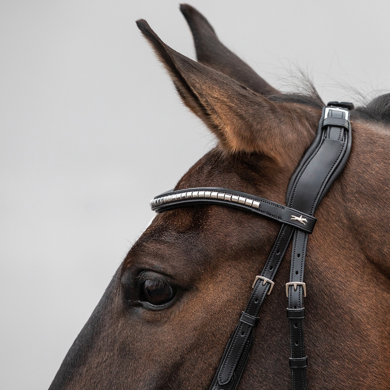 Schockemöhle Sports Equitus Rho Nackstycke