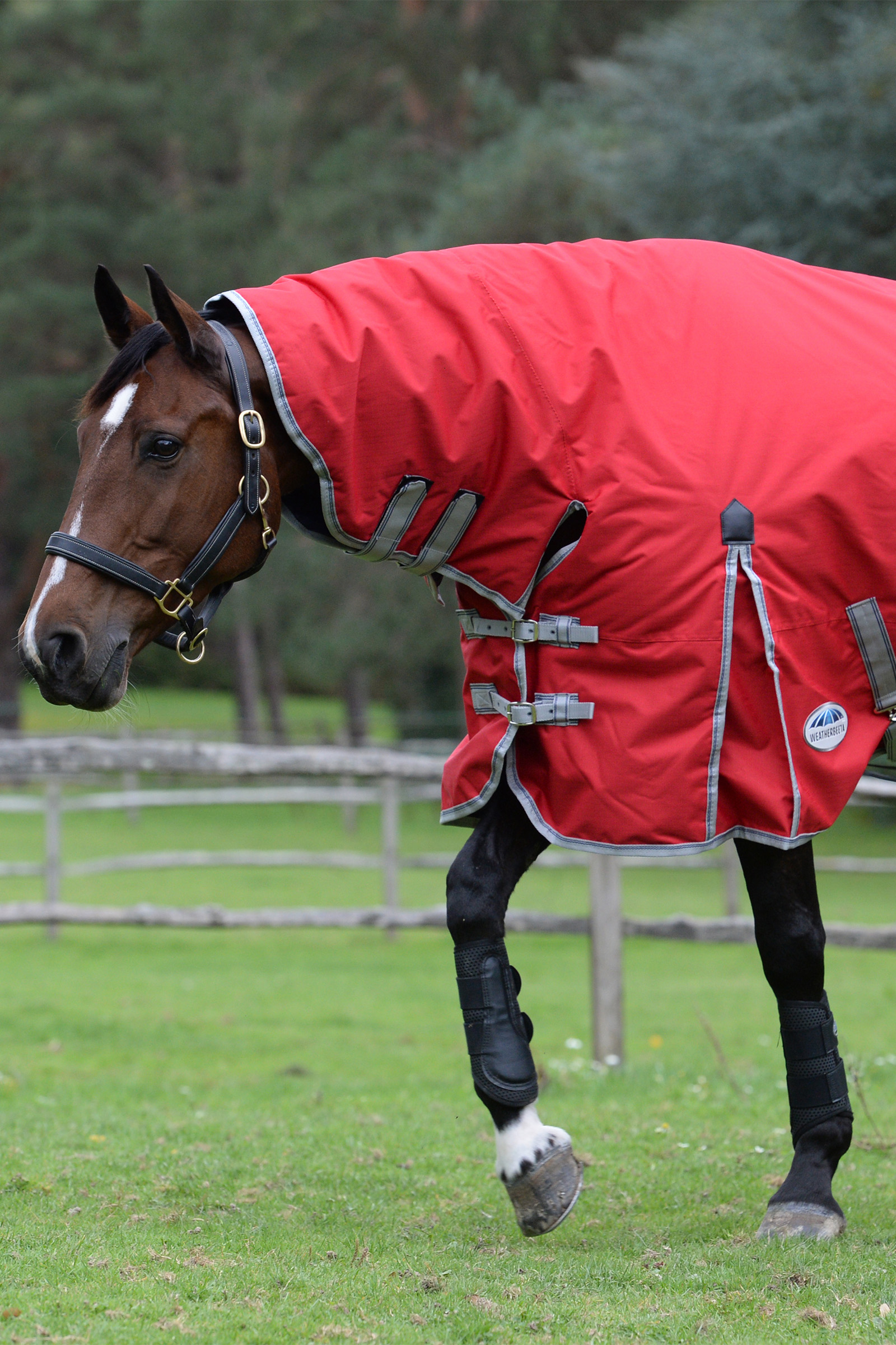 Weatherbeeta Comfitec Classic Hestedækken med integreret hals, 50g