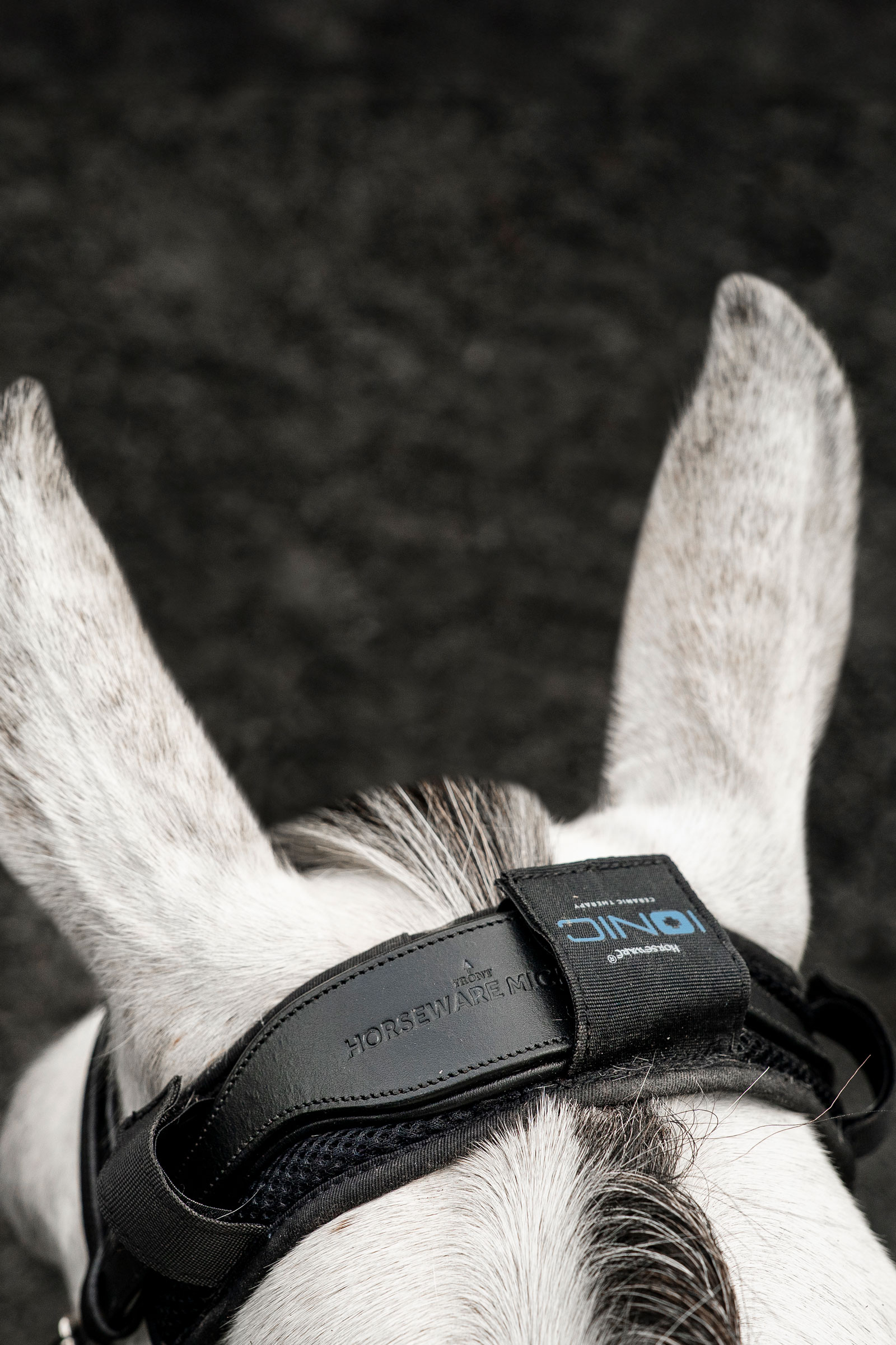 Horseware Ionic nakkebeskytter