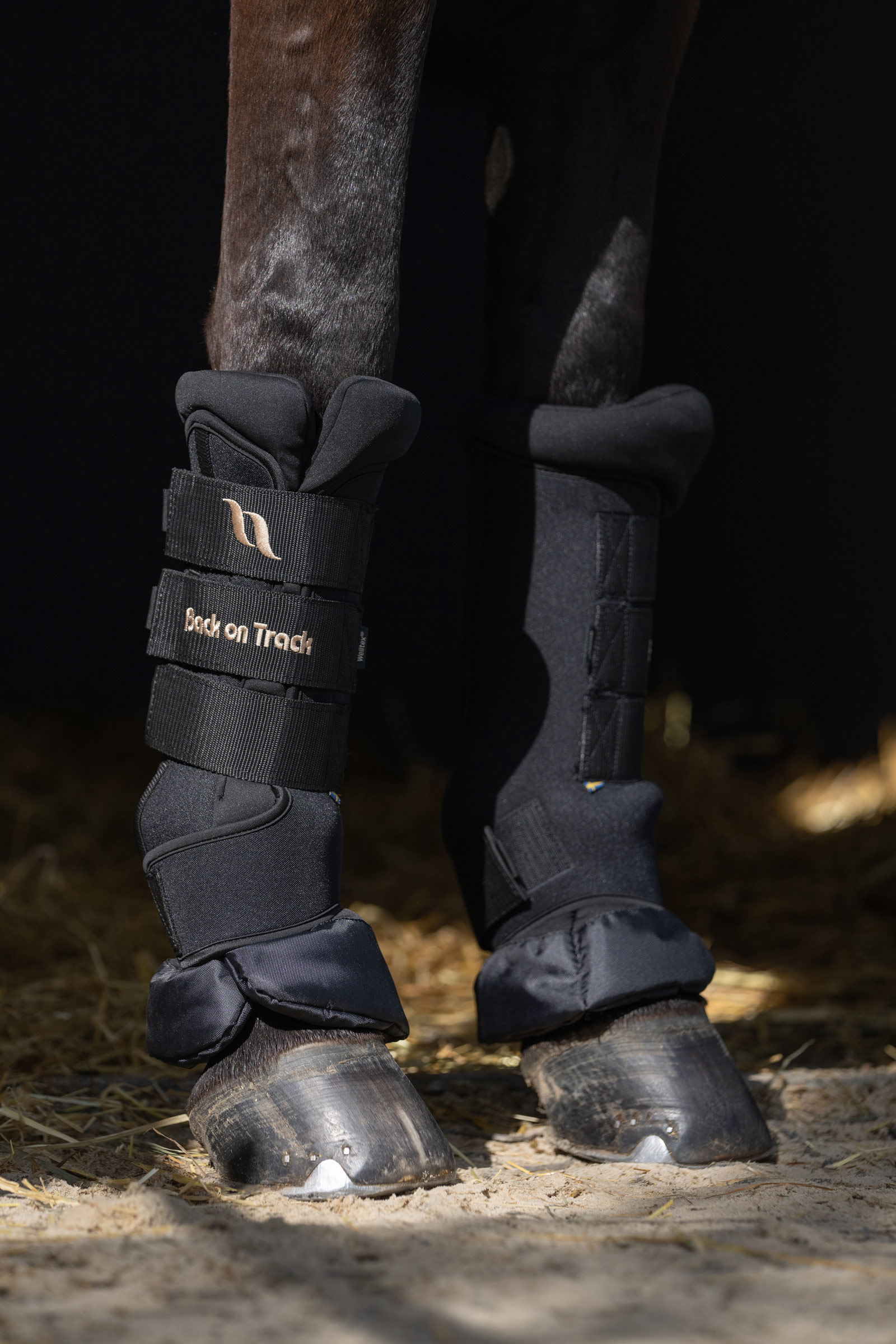 Back On Track Quick Royal gamacher