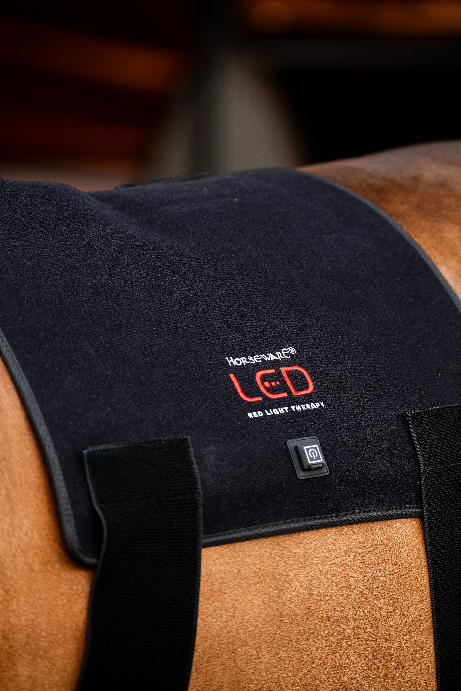 Horseware LED rødlysterapi Pad