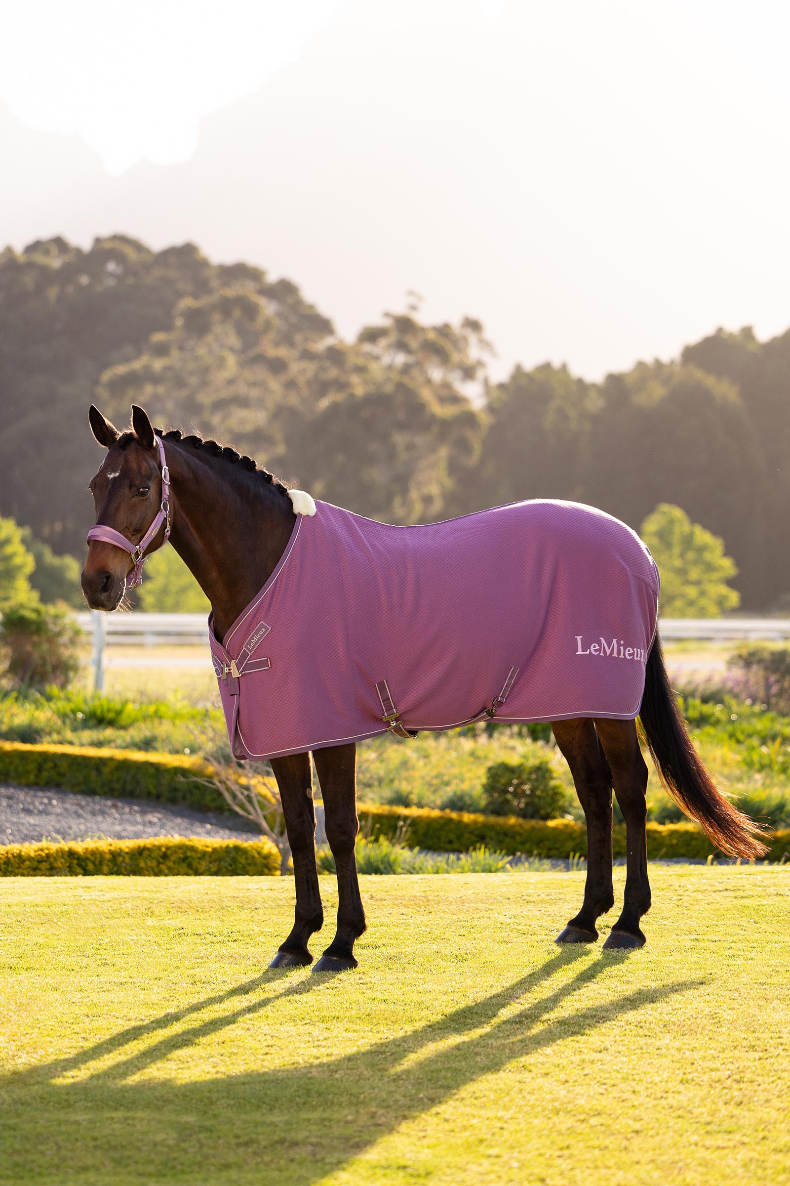 Mallow LeMieux Kudos bambus cooler d&aelig;kken