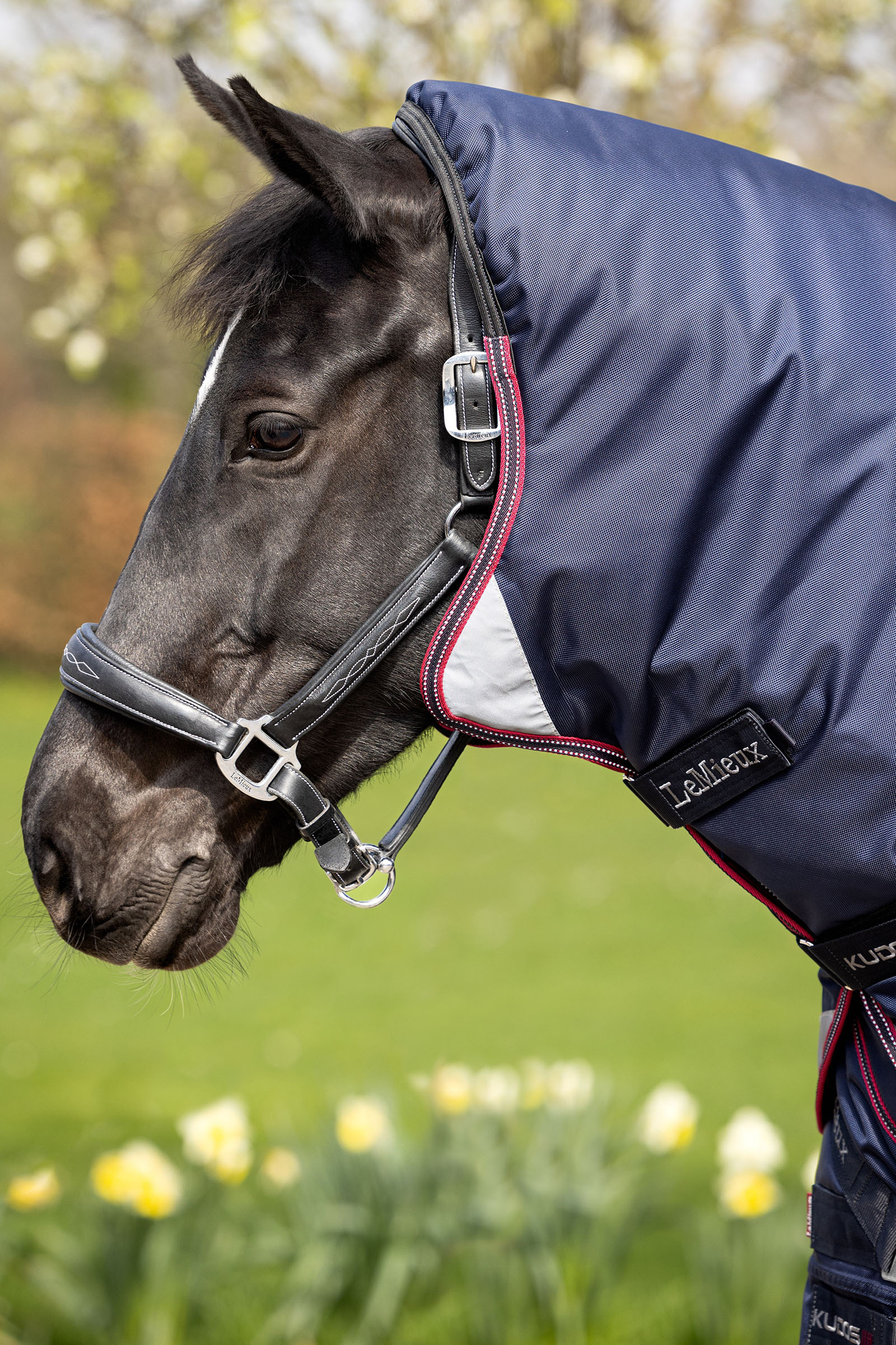 LeMieux Kudos Thermo Layer uded&aelig;kken 100g