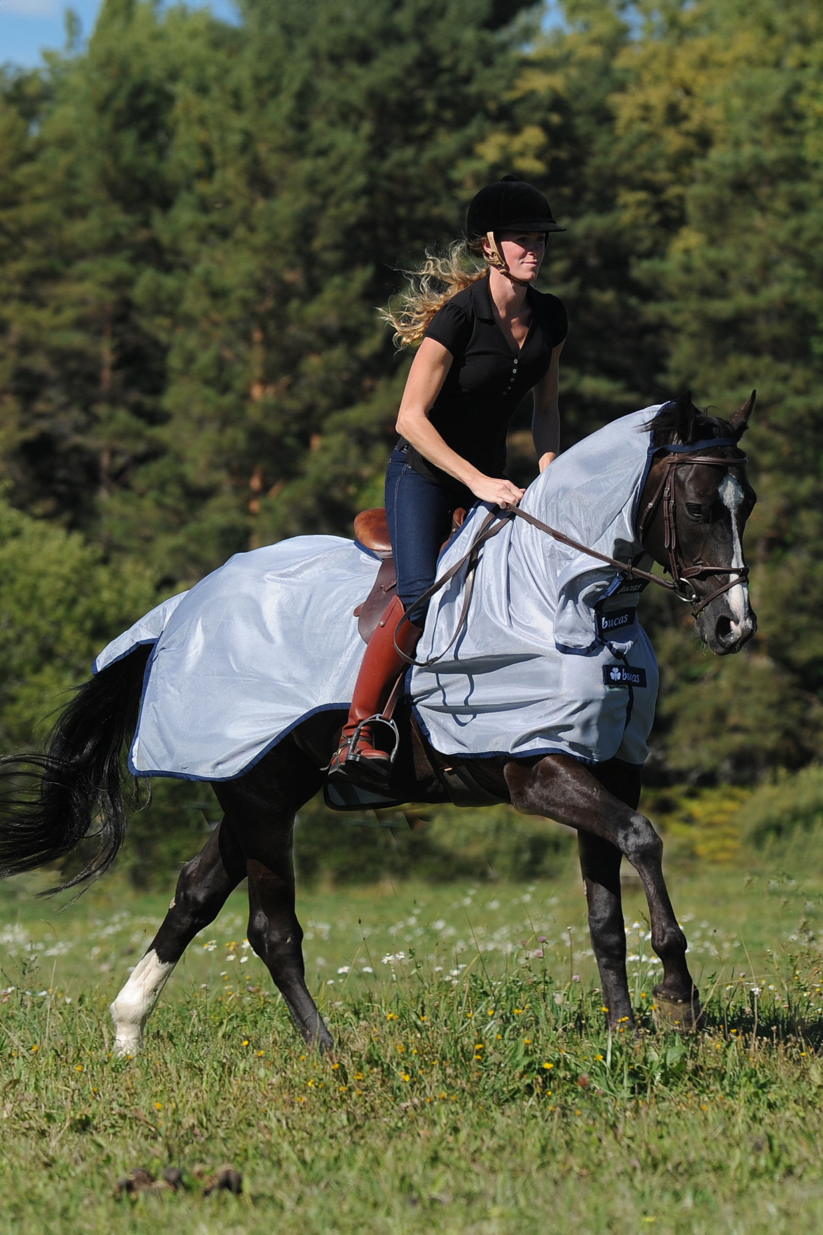 Bucas Buzz-Off træningsark
