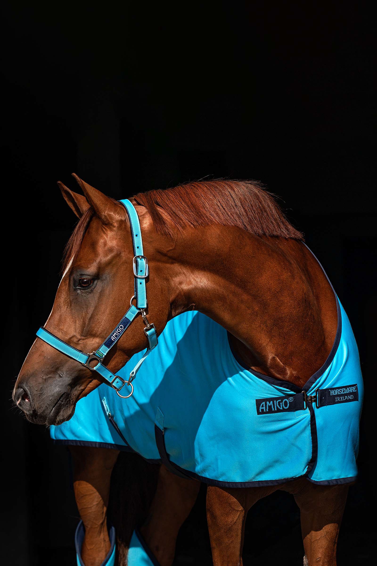 Horseware Amigo jersey svedd&aelig;kken