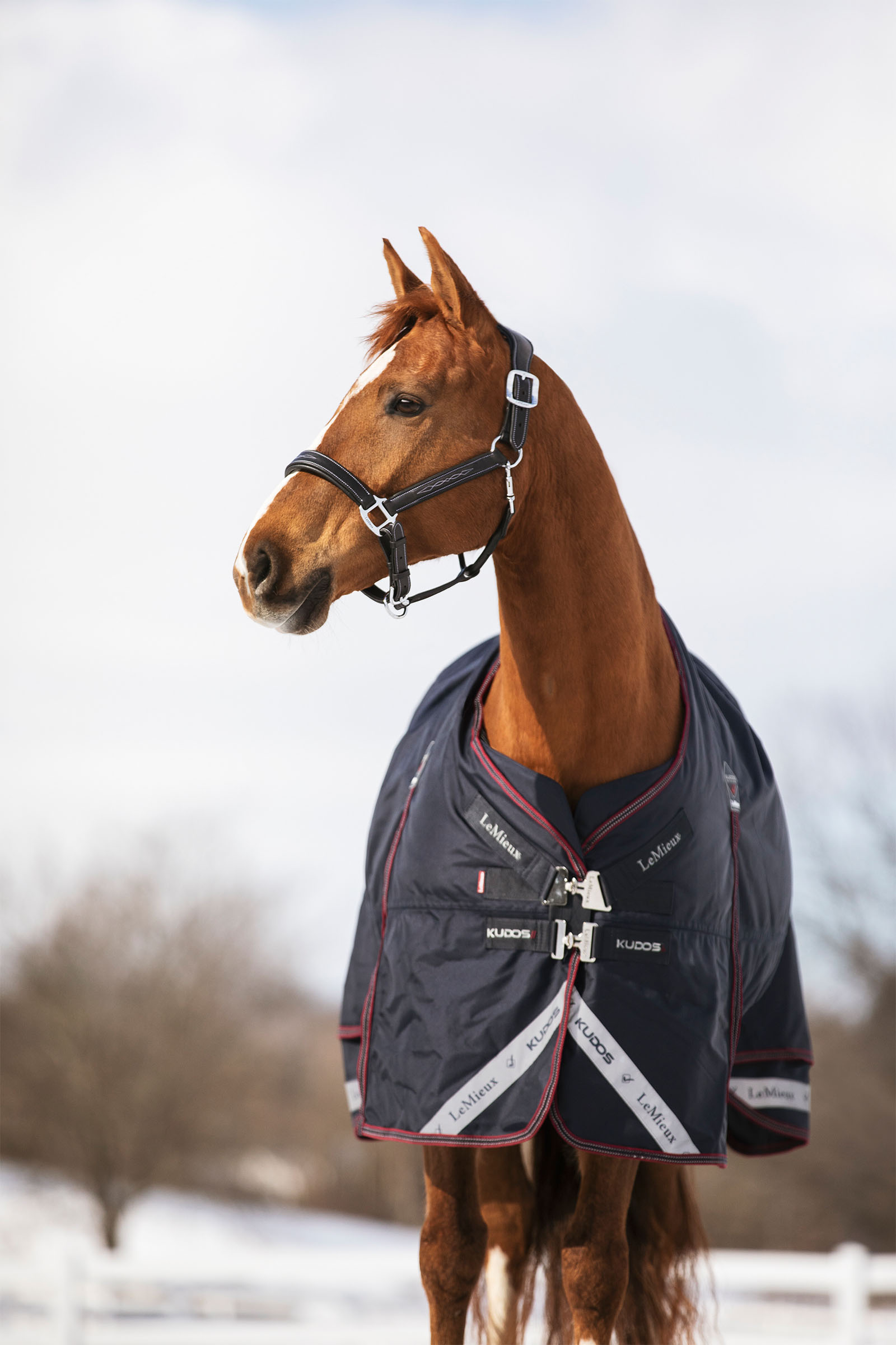 LeMieux Kudos udedækken 350g