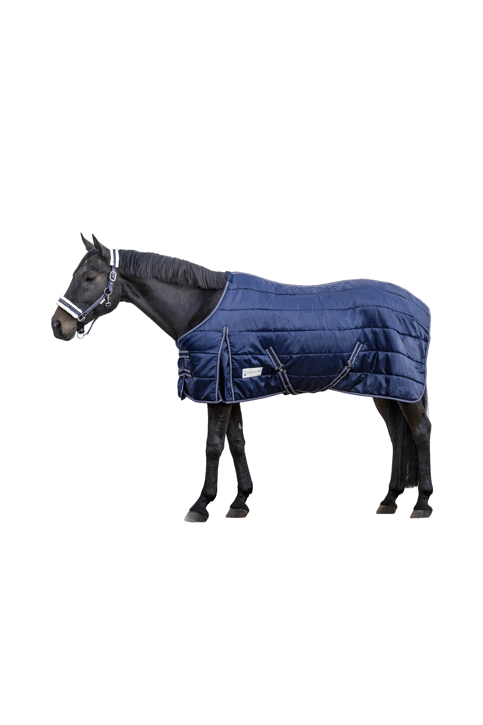 Night Blue Waldhausen Stable rug Economic 200 g