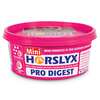Horslyx Pro Digest Balancer sliksten Mini, 650g