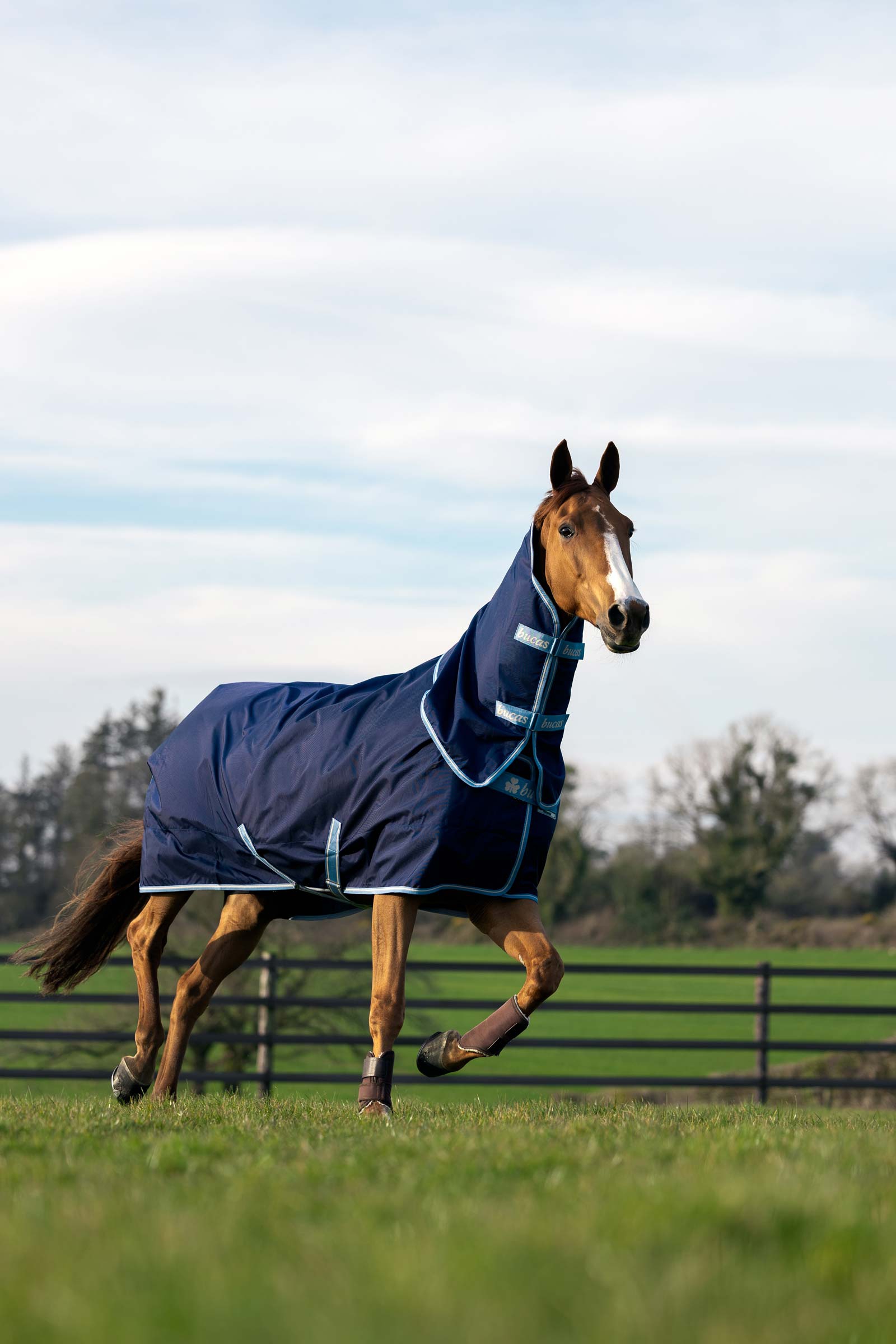 Bucas Atlantic Exclusive D&aelig;kken & Hals, 150 g