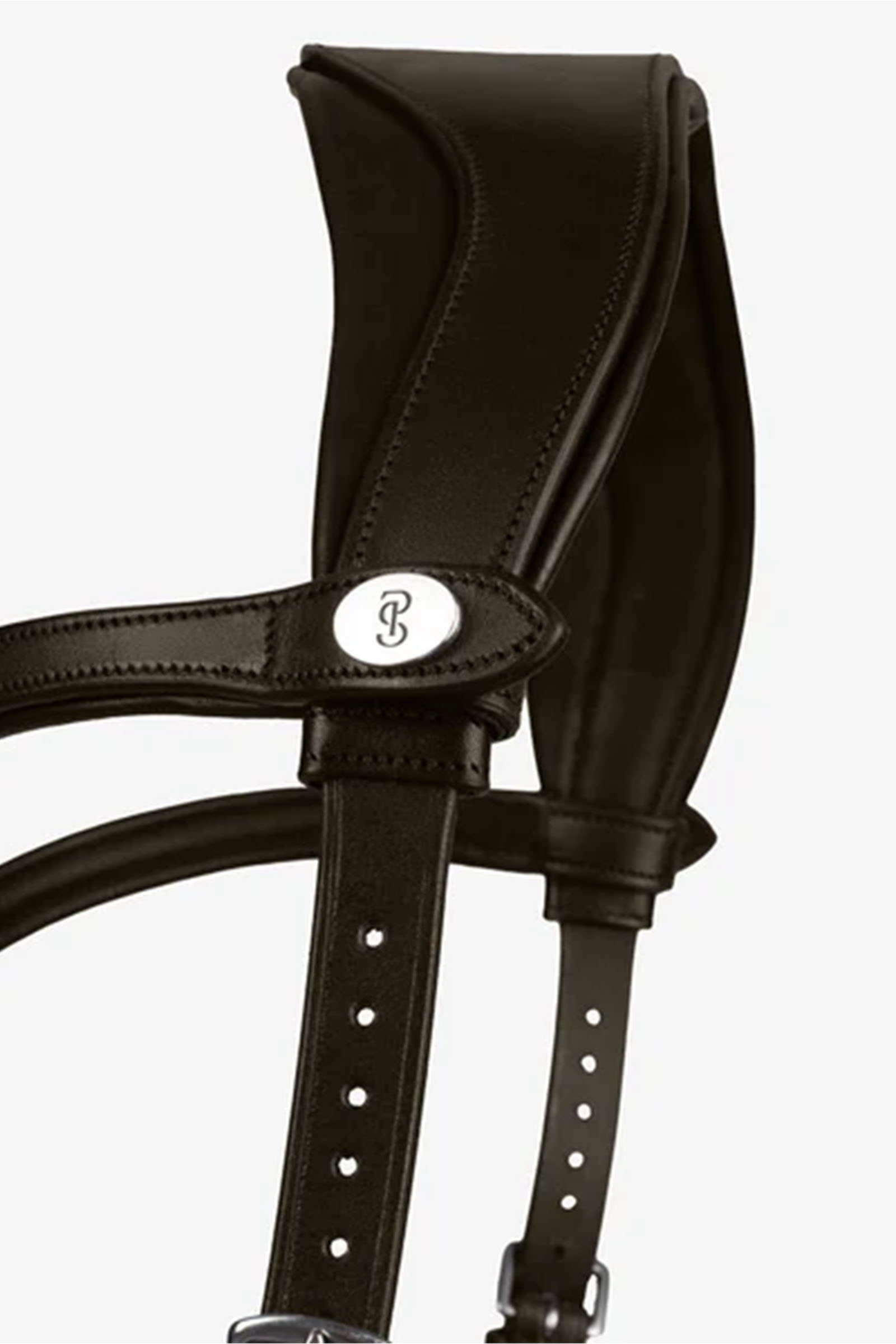 PS of Sweden Trense King Edward