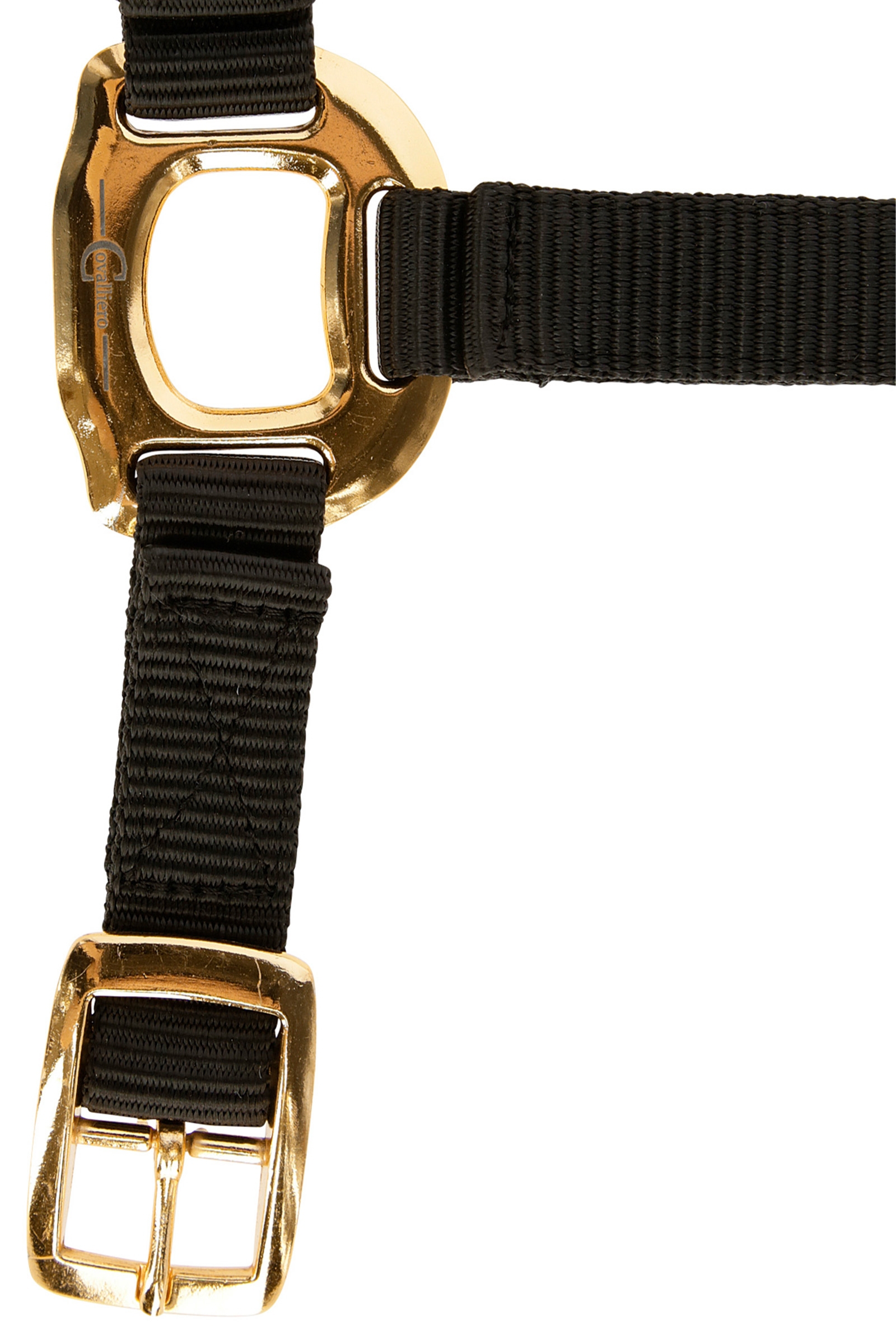 Covalliero TopLine Halter