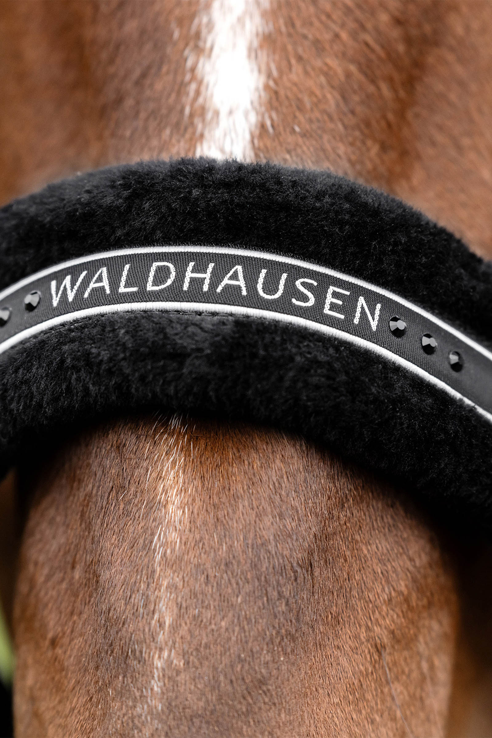 Waldhausen elegant grime