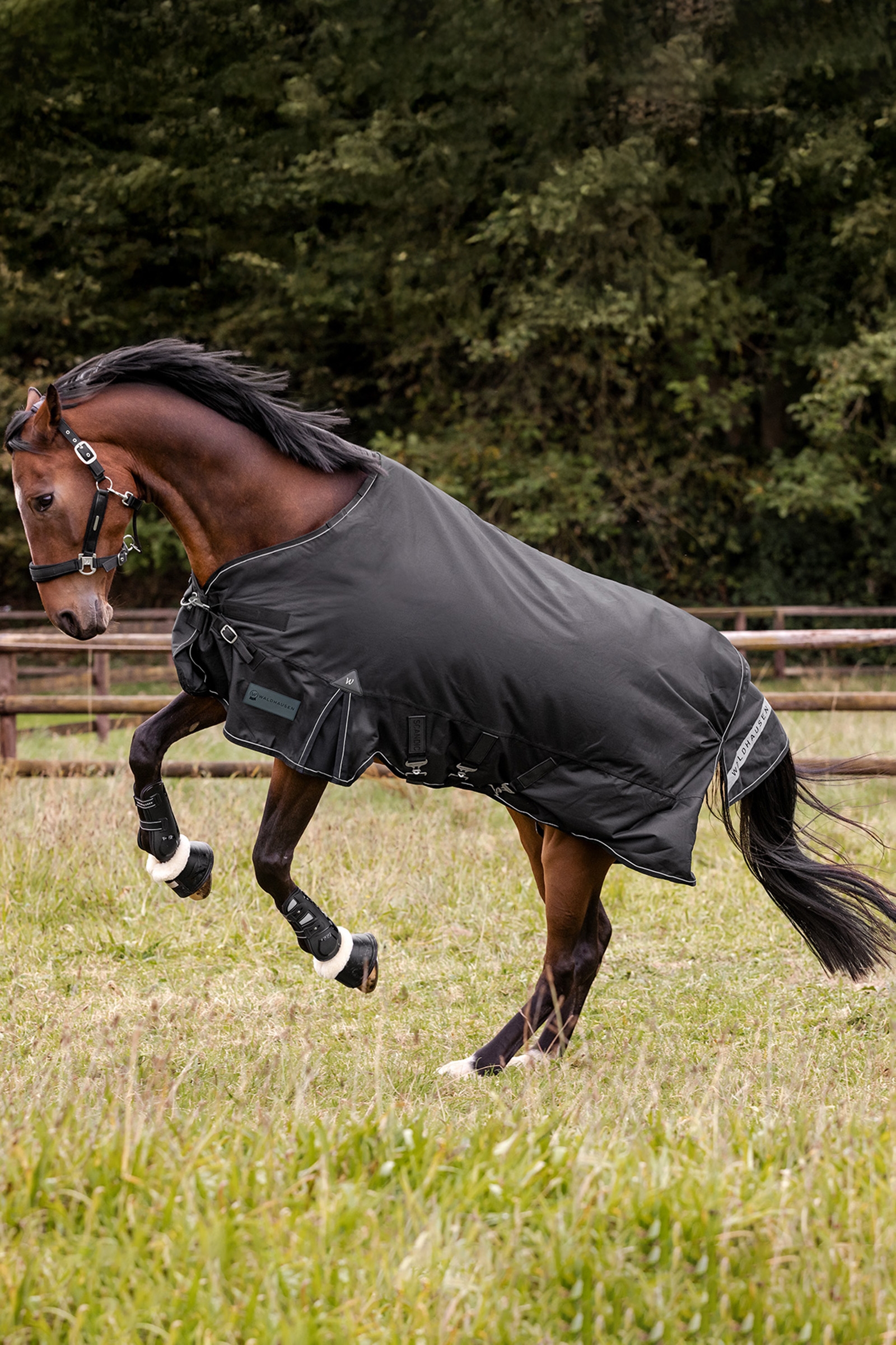 Waldhausen udend&oslash;rs t&aelig;ppe Scandic flerlags 150g/50g