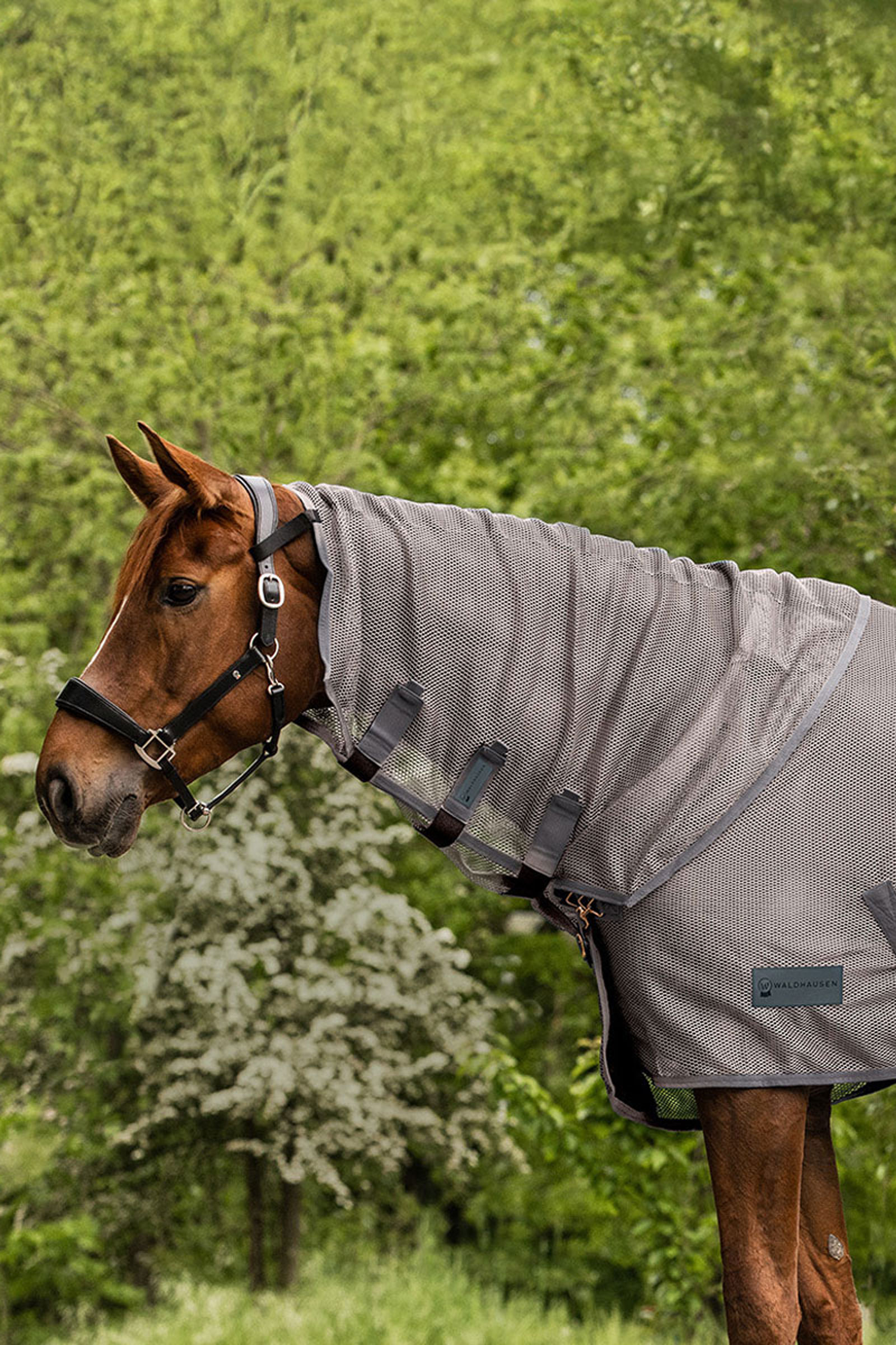 Grey Waldhausen Comfort fluestykke til hals