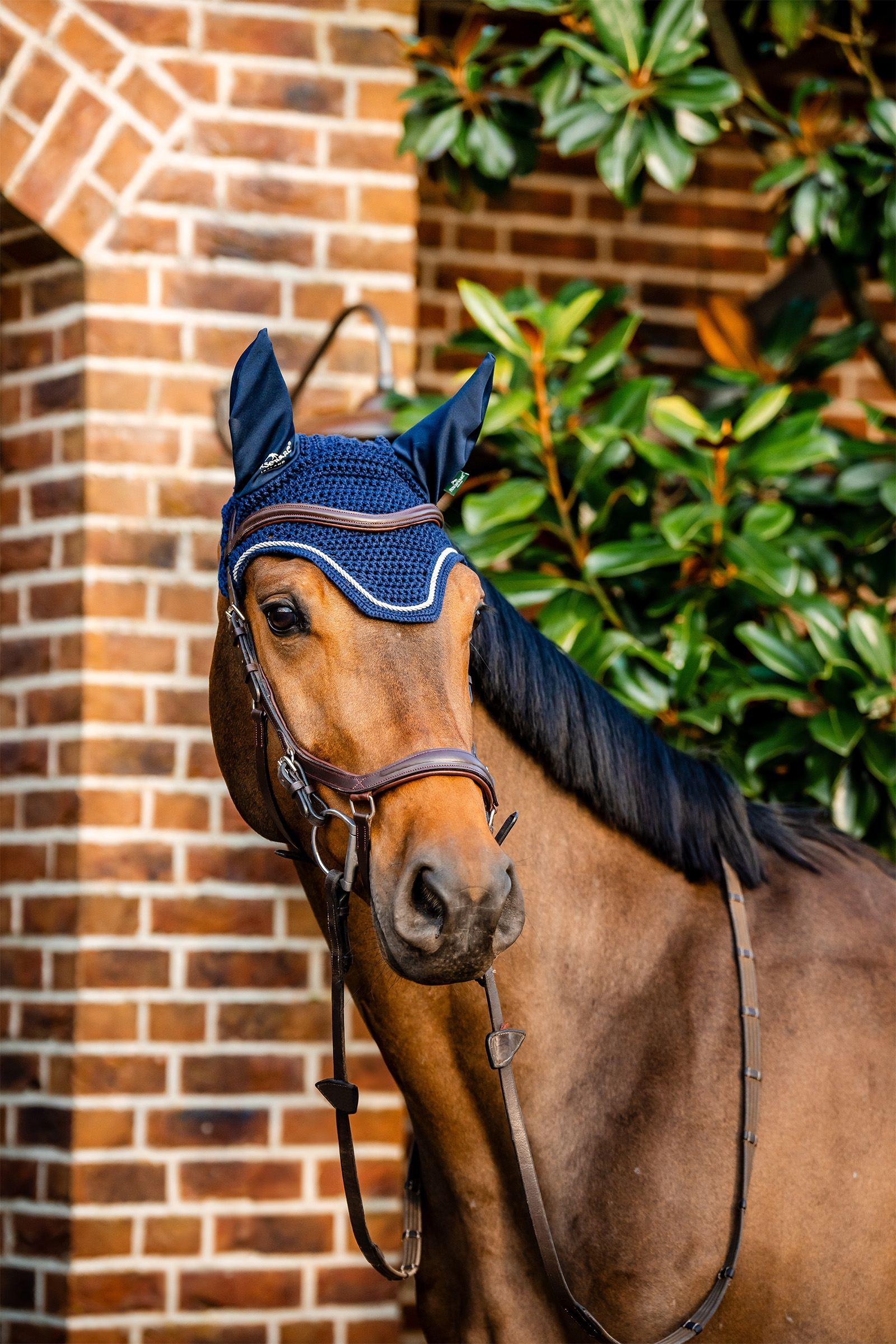 Horseware Signature fluehætte