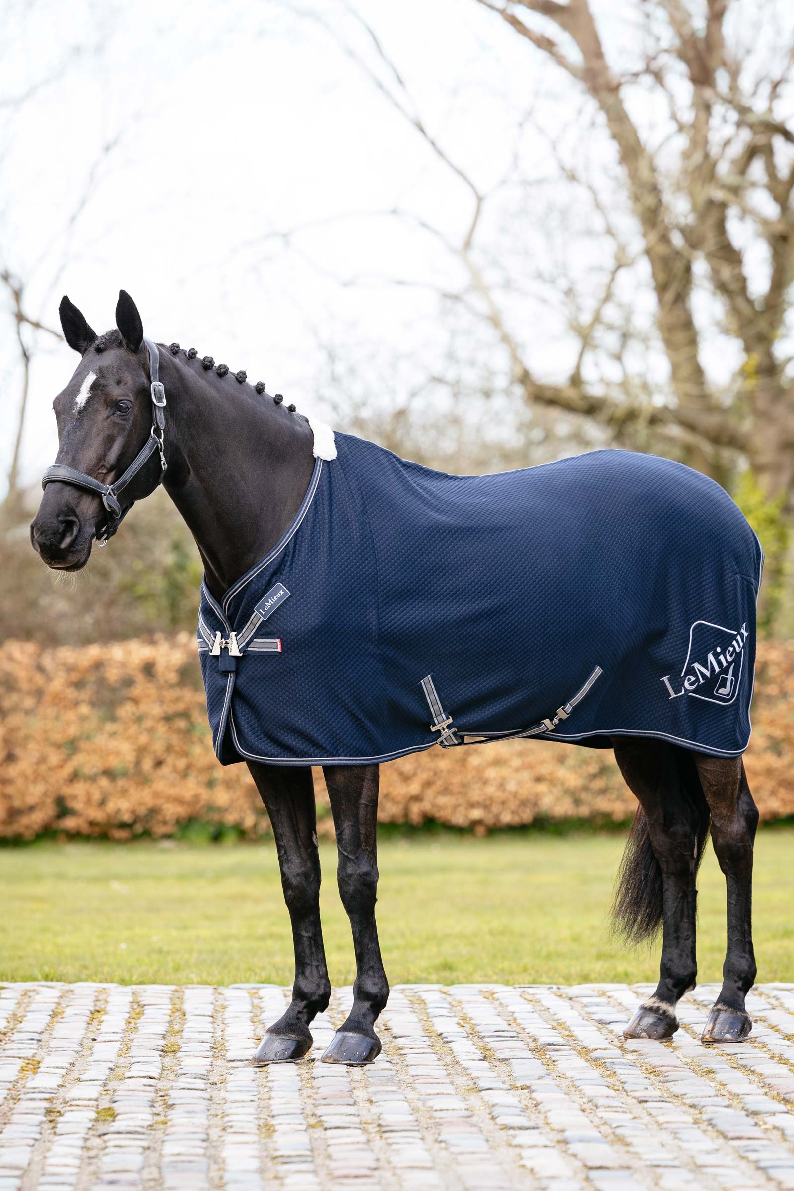 LeMieux Kudos bambus cooler d&aelig;kken