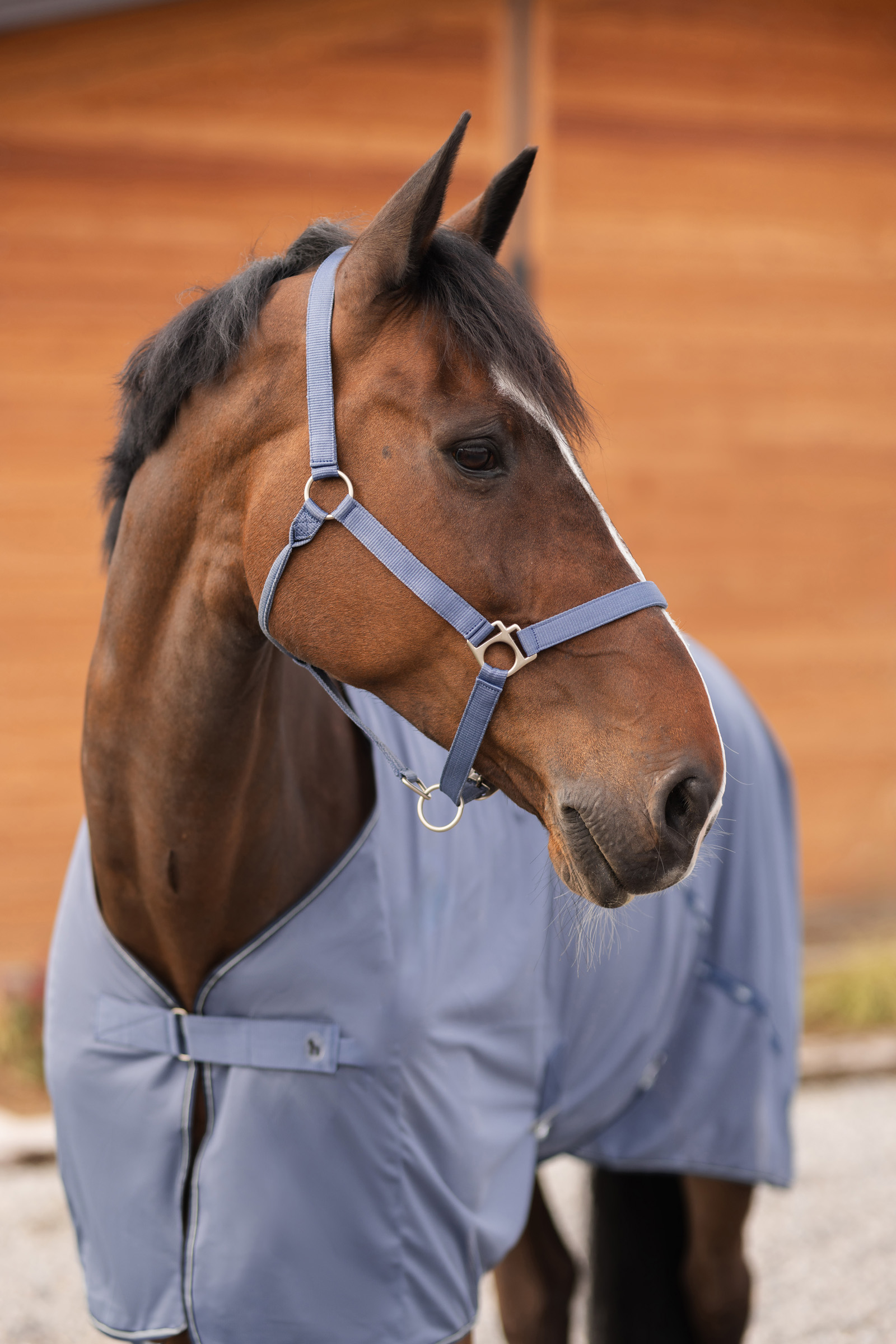 Horze Rose Tonique Grime