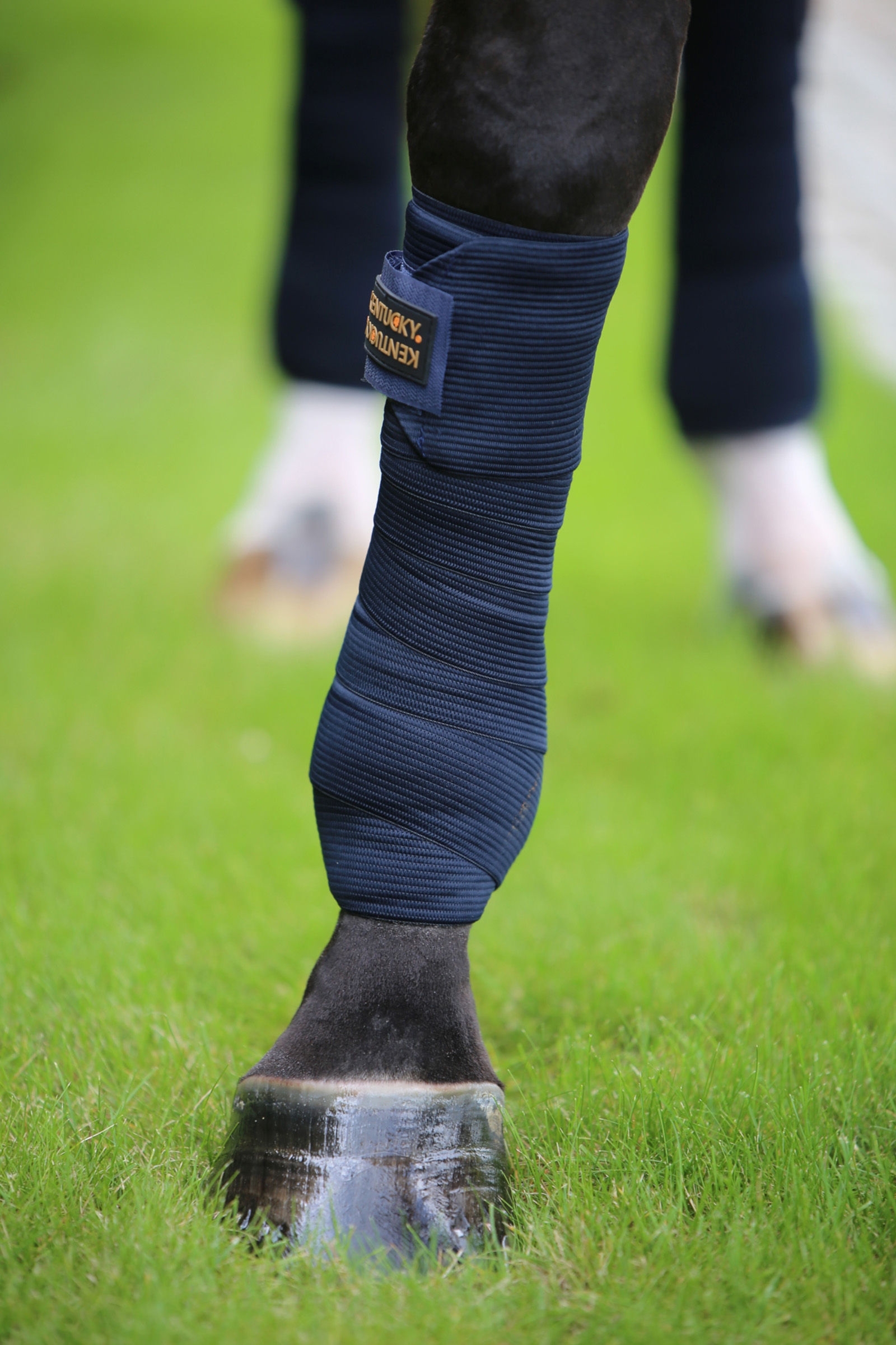 Kentucky Horsewear elastisk bandage