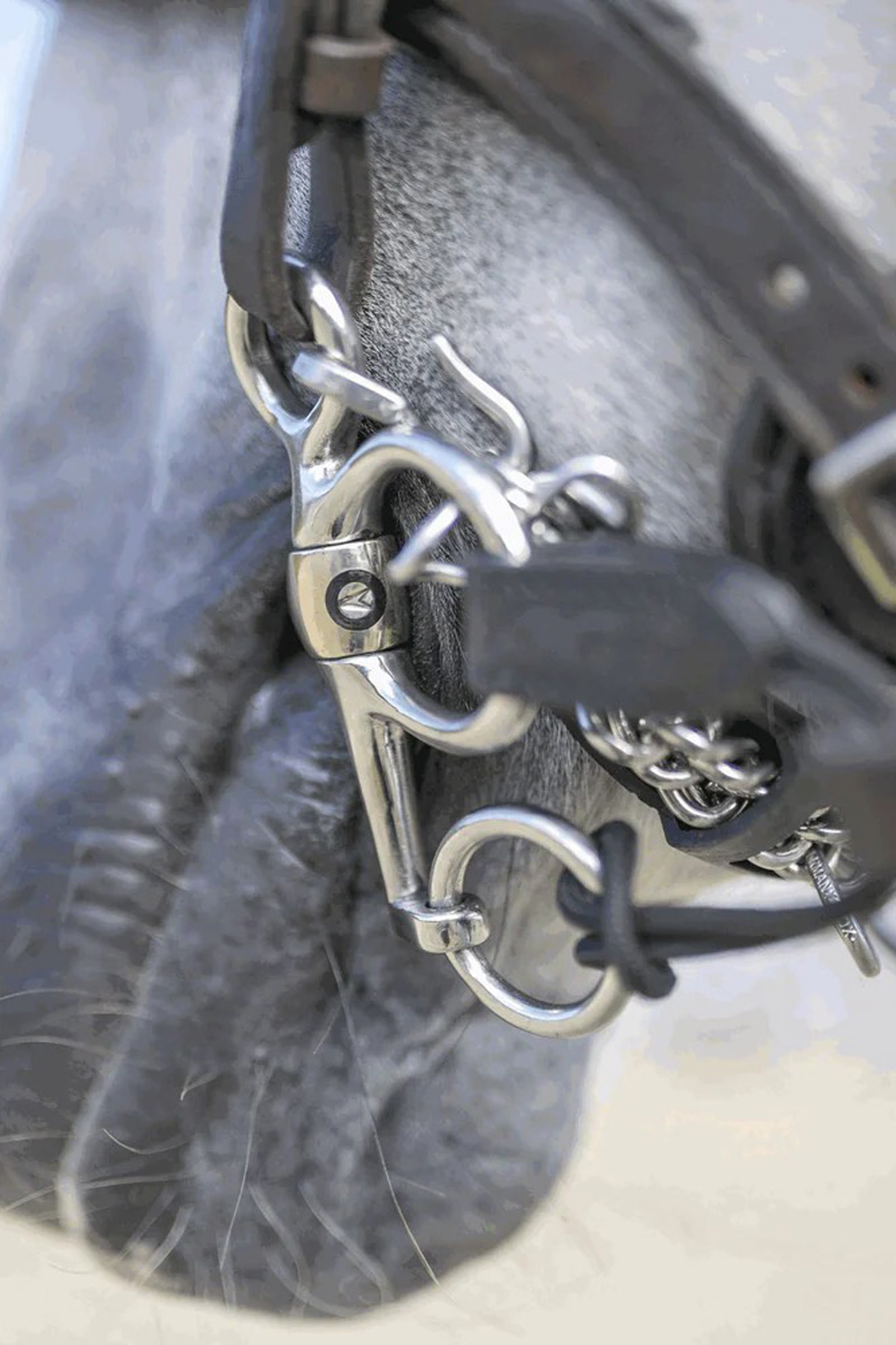 Sprenger Dynamic RS Pelham, Sensogan, dobbelt brudt, 16 mm