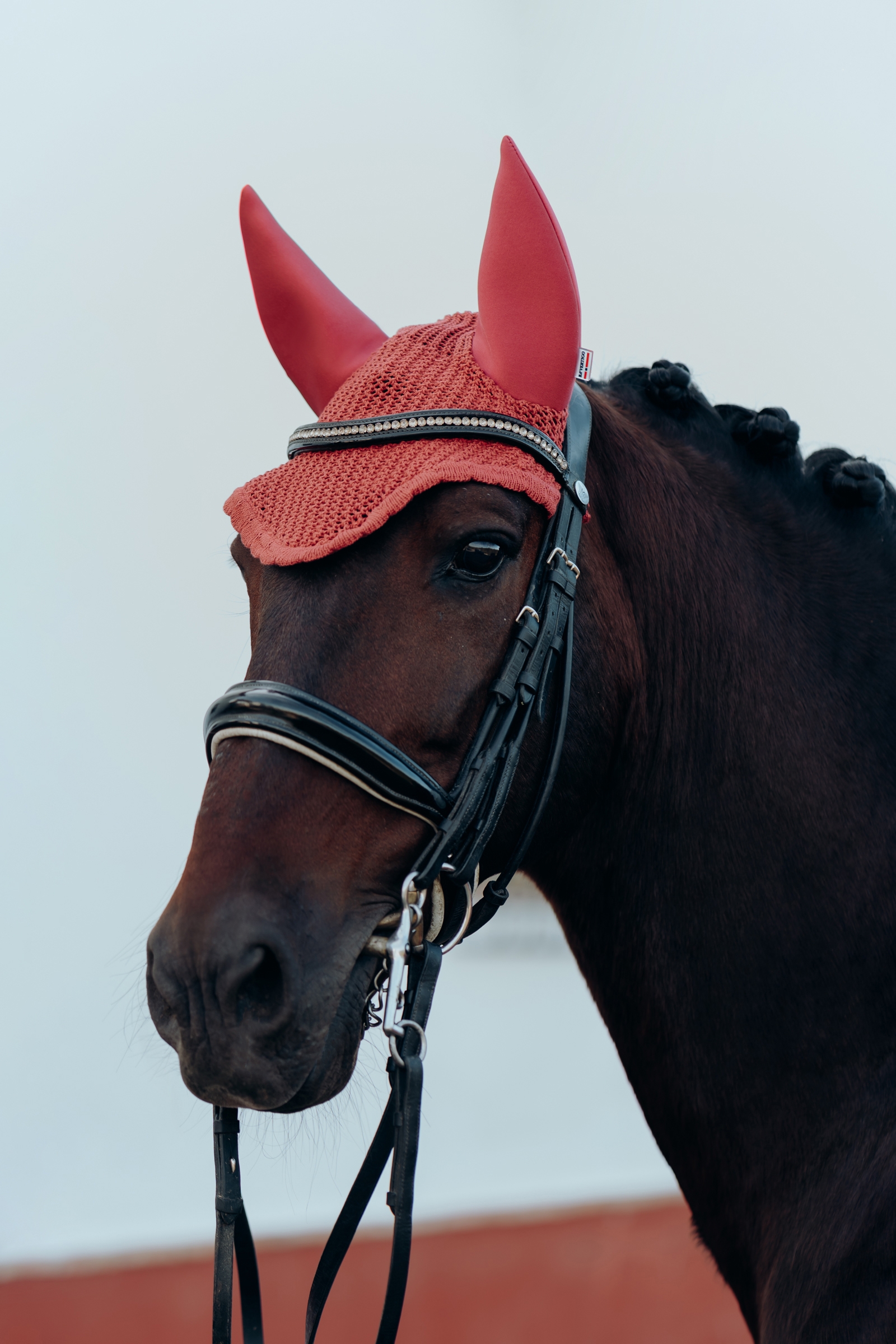 B Vertigo Laurel hut