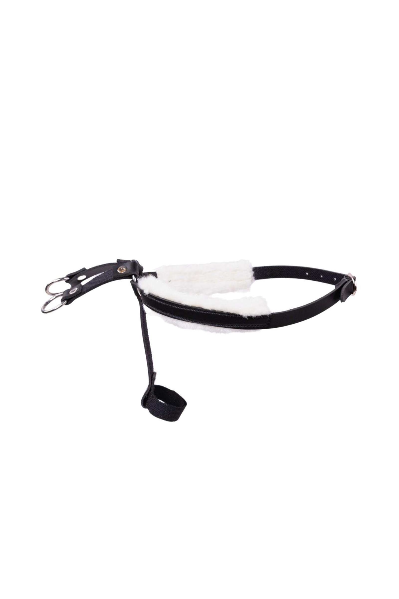 My Hobby Horse martingal