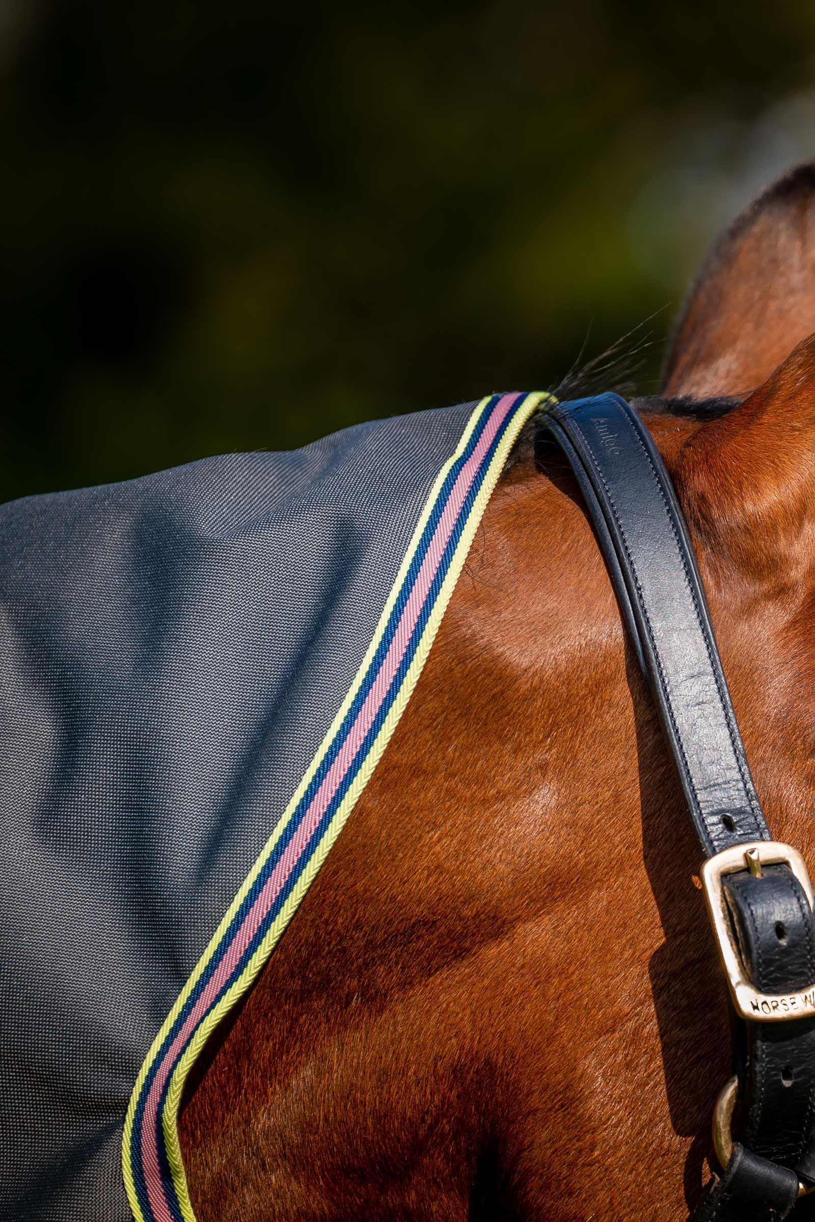 Horseware Amigo Bravo 12 Plus udedækken med aftagelig hals, 0g