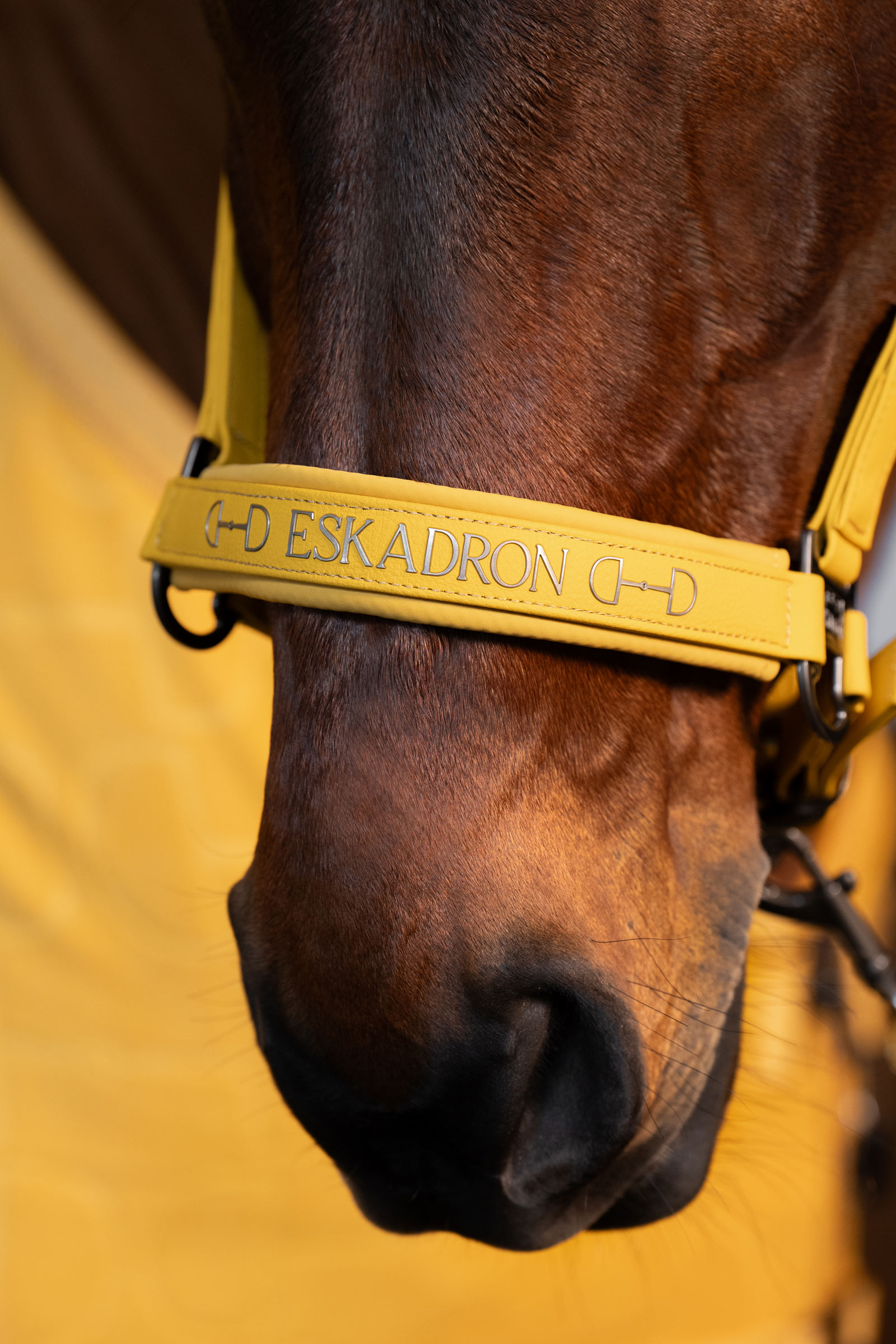 Eskadron Platinum 25 Dobbelt pin grime i kunstlæder