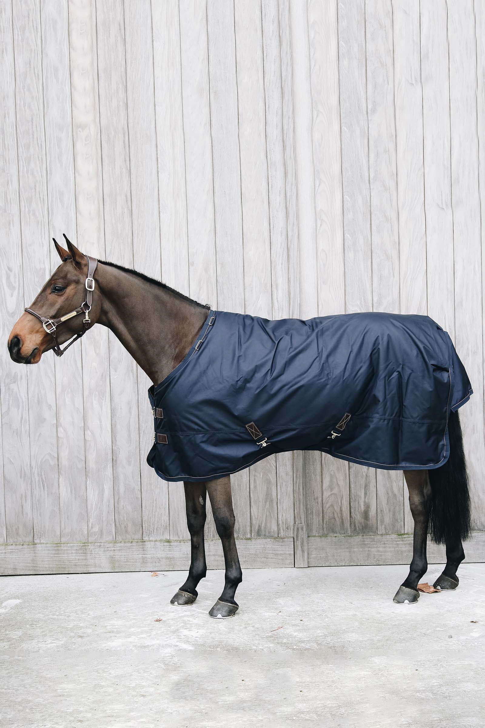 Kentucky Horsewear All Weather Waterproof Pro Regndækken, 0 gr