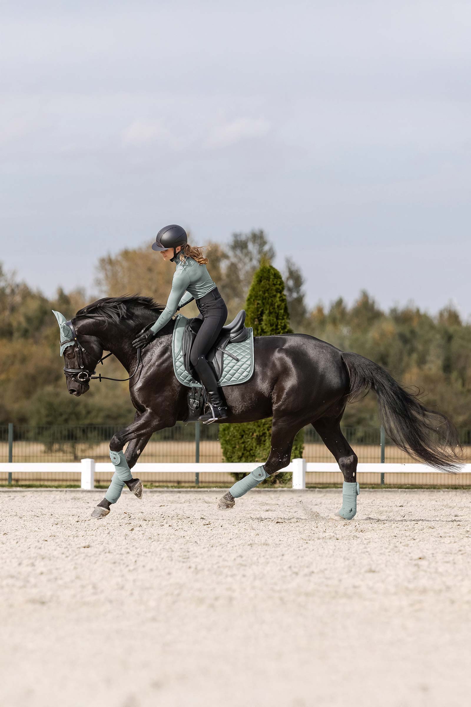 Waldhausen Nepal Dresssage Saddle Pad