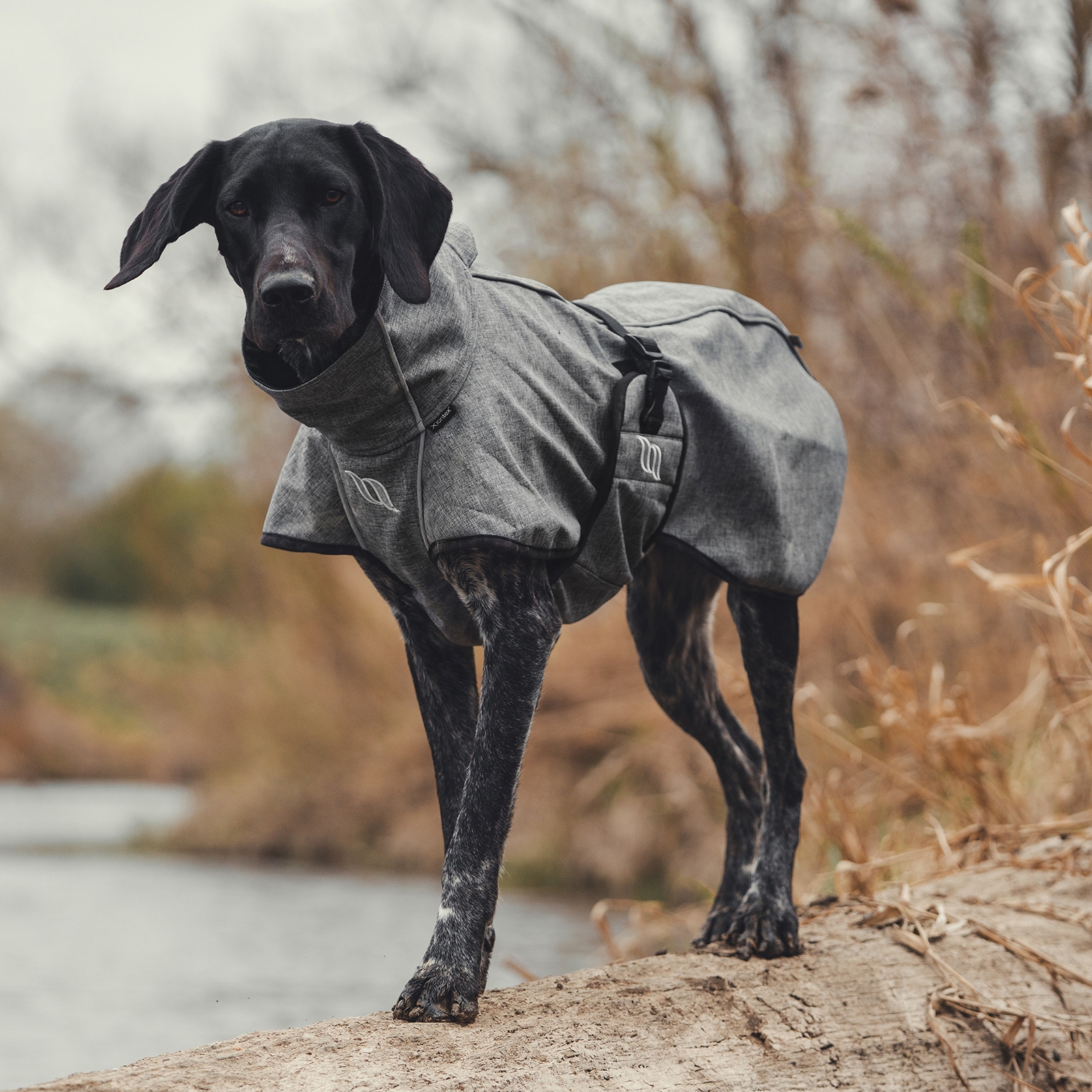 Back on Track Bark All-Round Hundefrakke, 25-35 cm