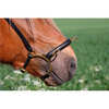 Karlslund ridekapsun m/ næsebøjle