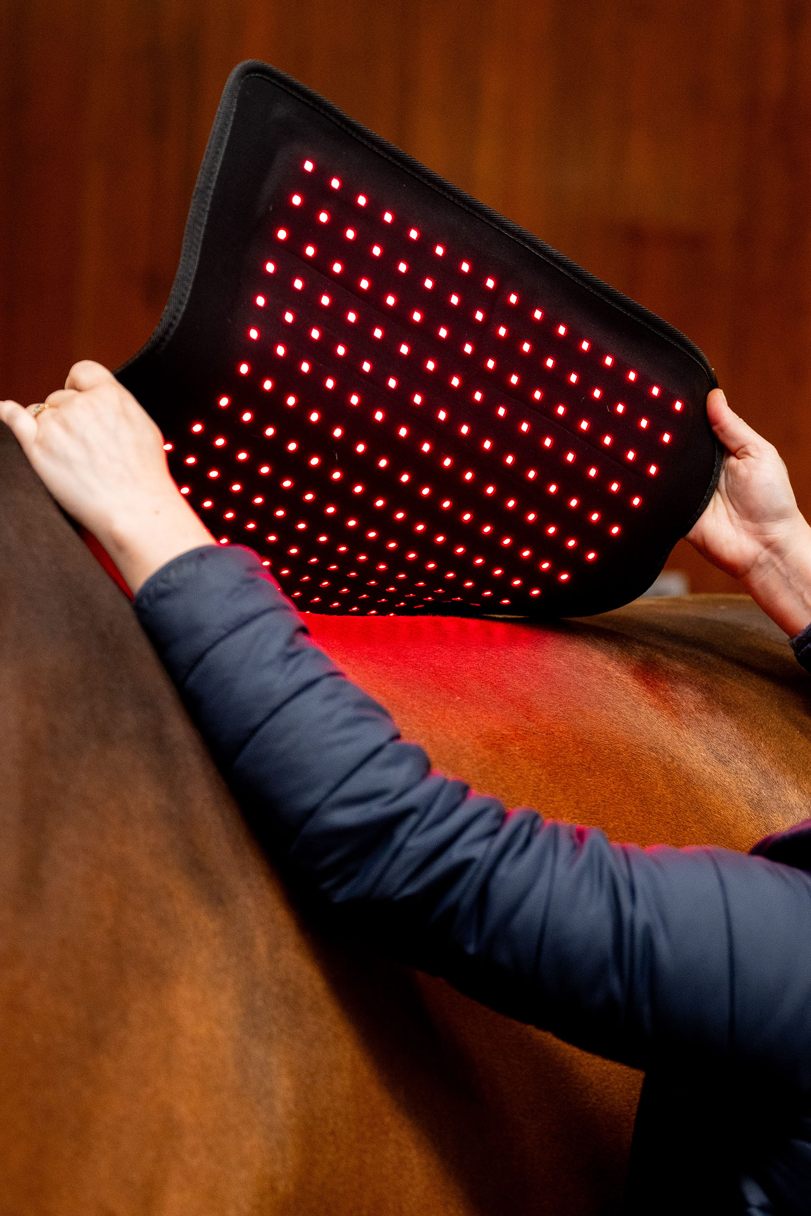 Horseware LED r&oslash;dlysterapi Pad