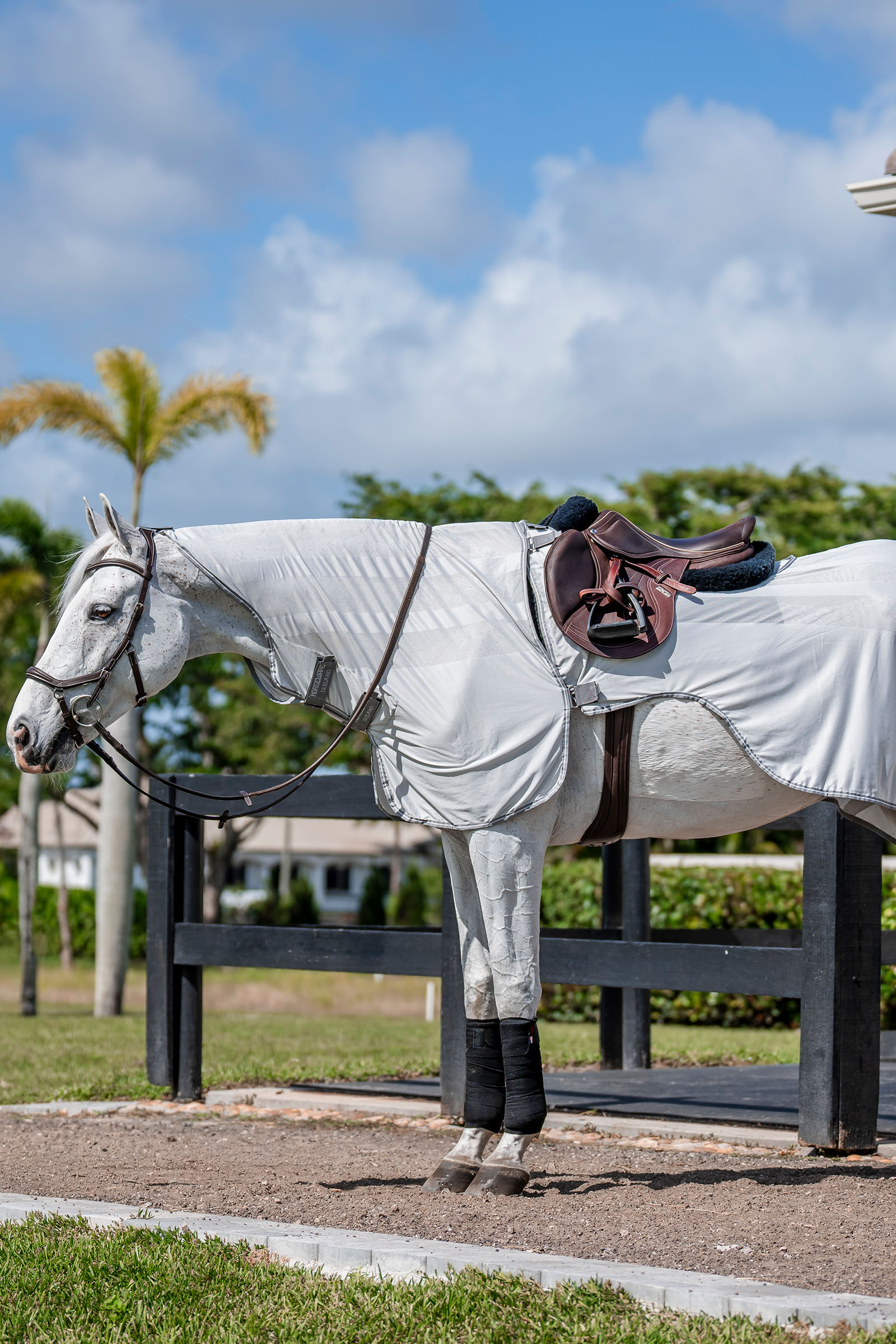 Silver/Titanium Grey & Silver Horseware Amigo Flyrider tr&aelig;ningsark, 0 g