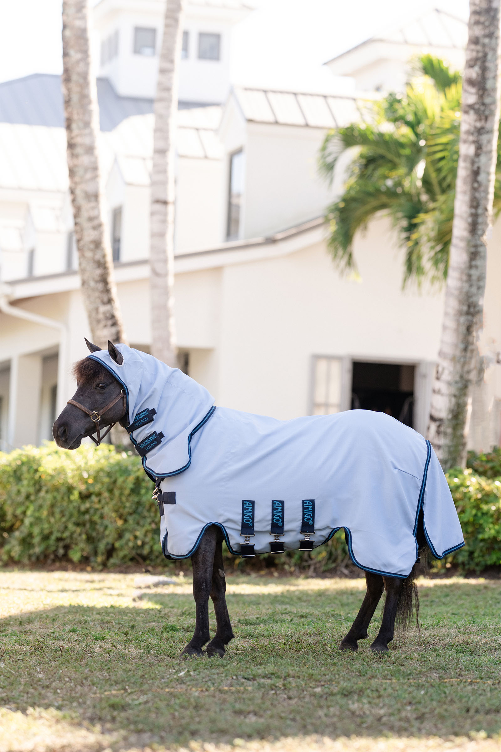 Azure Blue/Navy & Electric Blue Horseware Amigo Ripstop Hoody Petite, flue d&aelig;kken