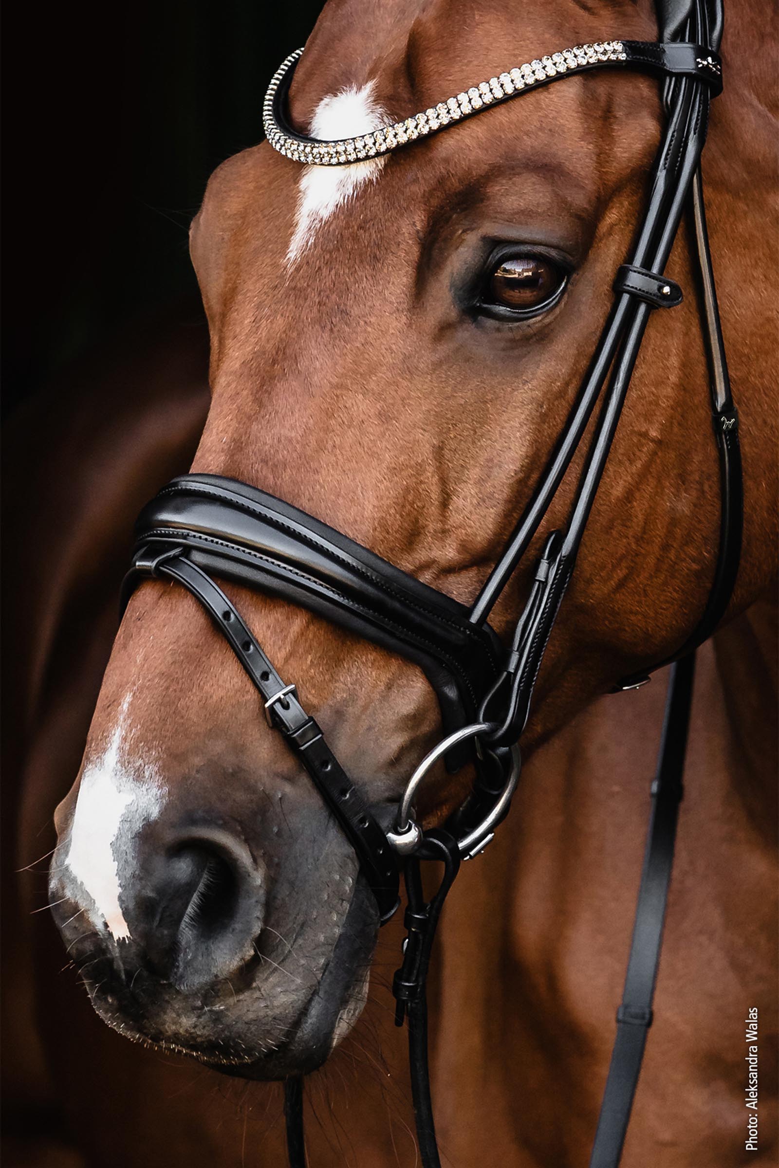 Schockem&ouml;hle Sports Satchmo Bridle - Isabell Werth Collection