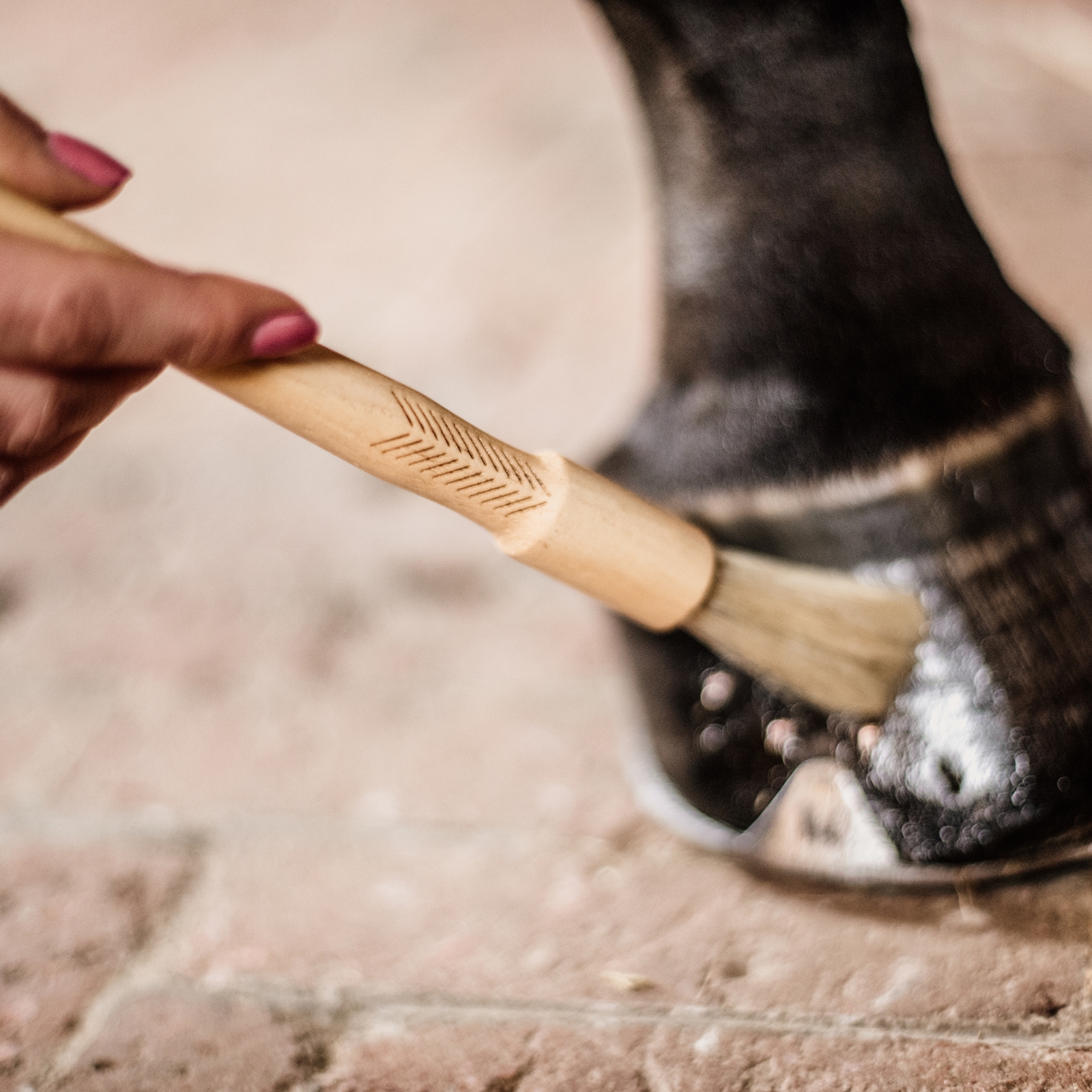 Kentucky Grooming Deluxe hov pensel