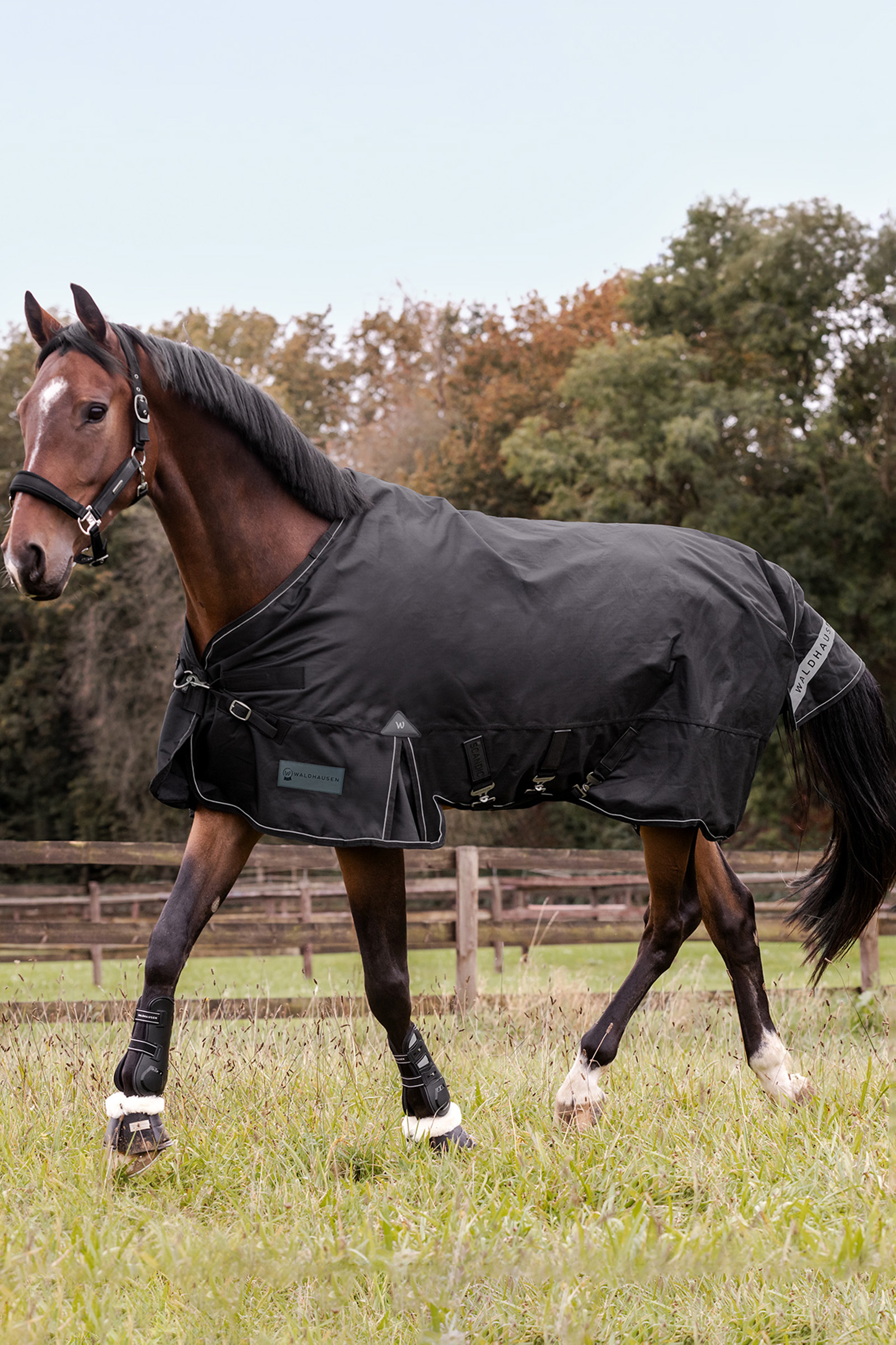 Waldhausen udend&oslash;rst&aelig;ppe Scandic 50g