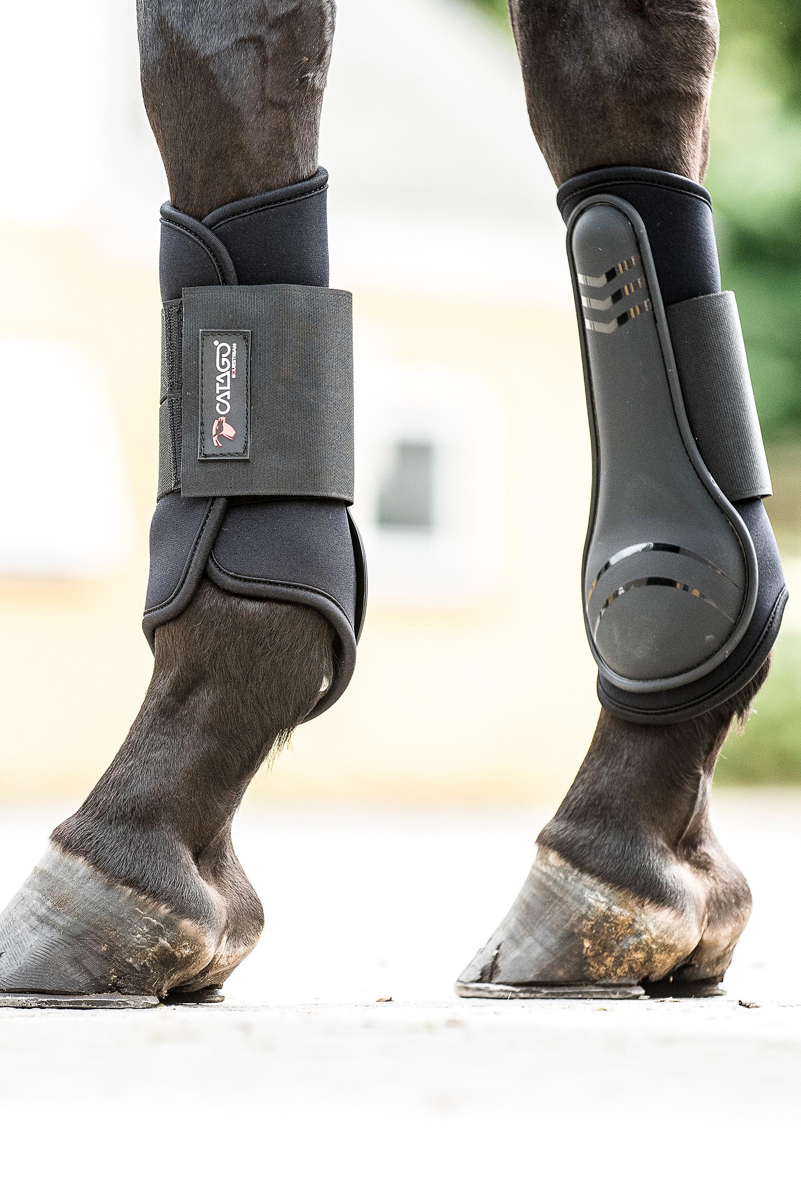 Catago Neoprene Dressage Boots