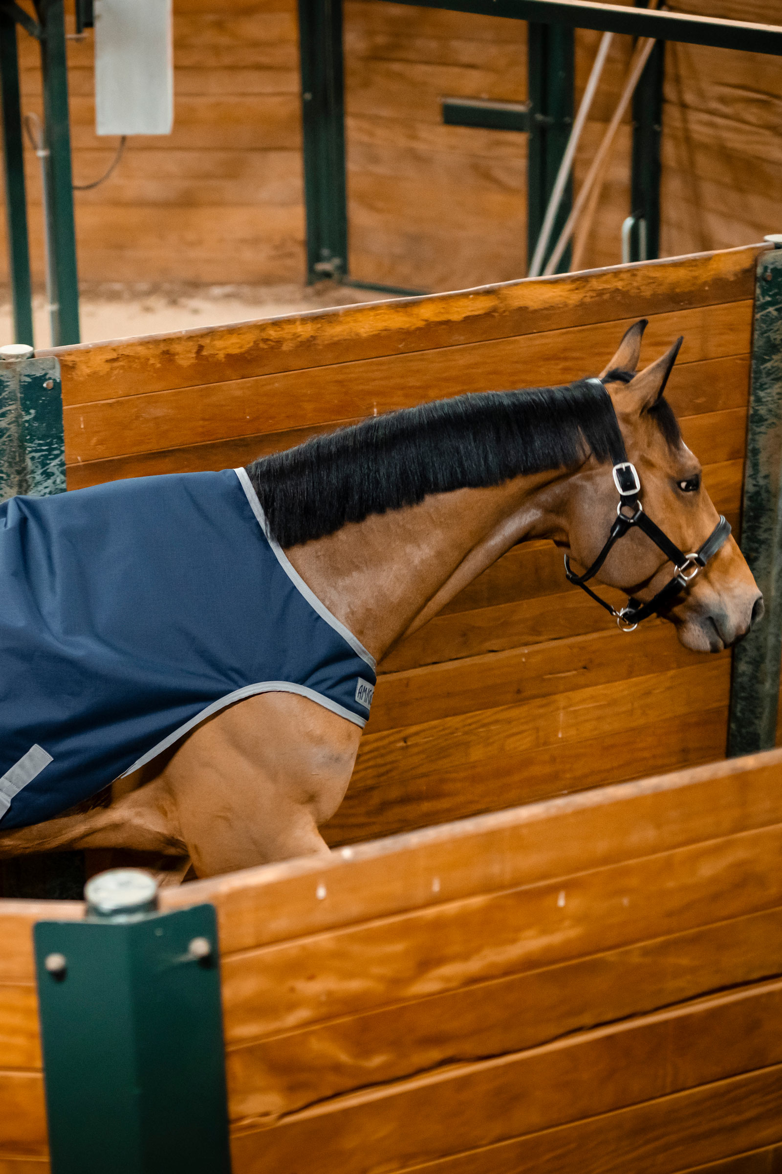 Horseware Amigo Ripstop 900D Walker d&aelig;kken, 100 g