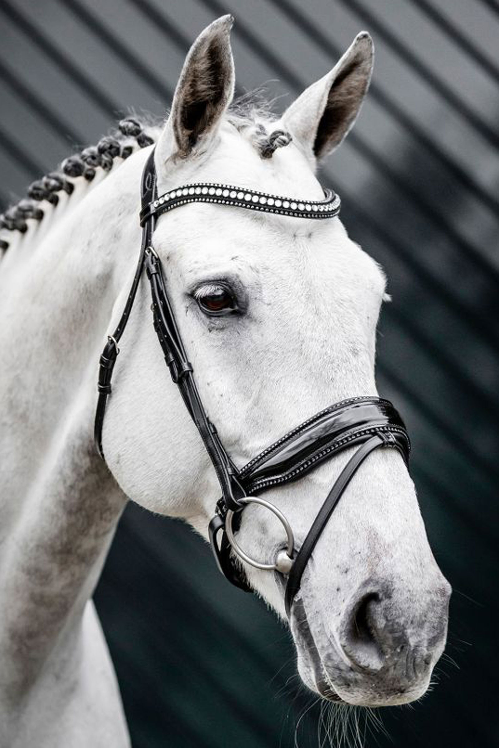 Horseware Diamante trense med kombineret n&aelig;seb&aring;nd