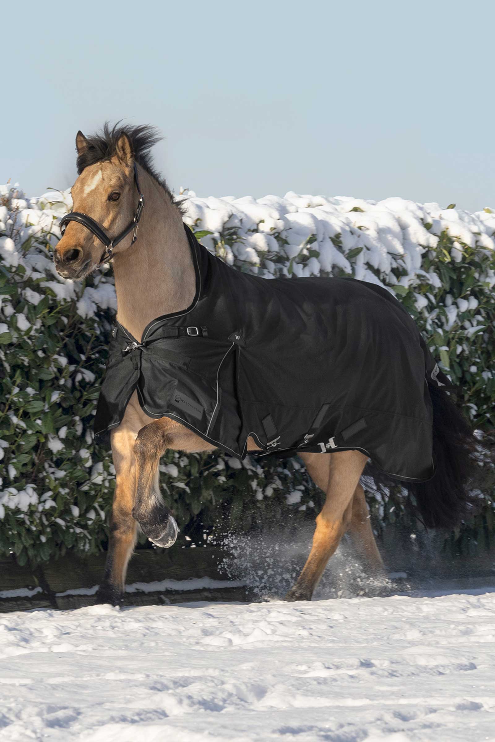 Waldhausen Scandic Uded&aelig;kken med h&oslash;j hals, 200 g