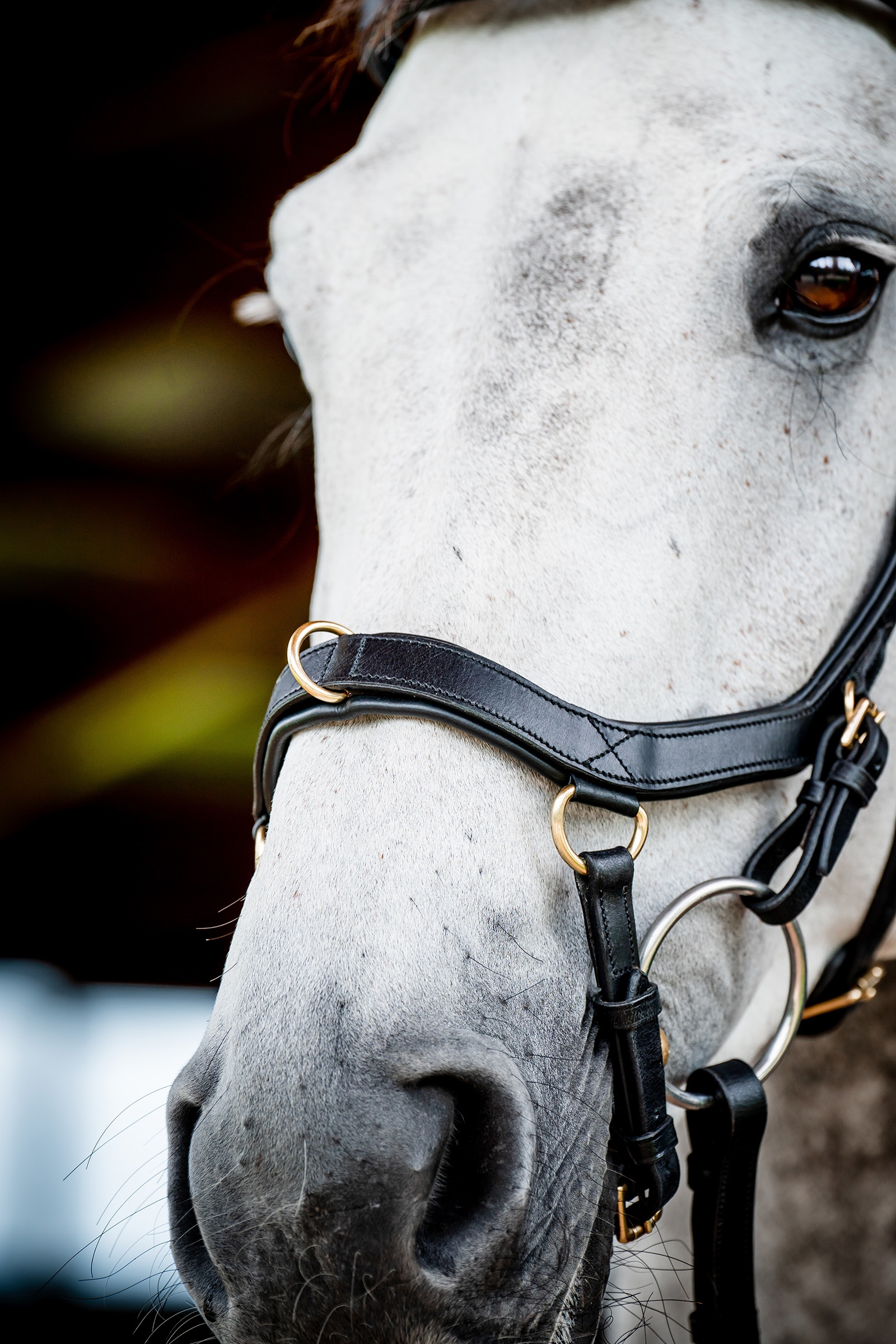 Horseware Micklem 2 Multi Trense