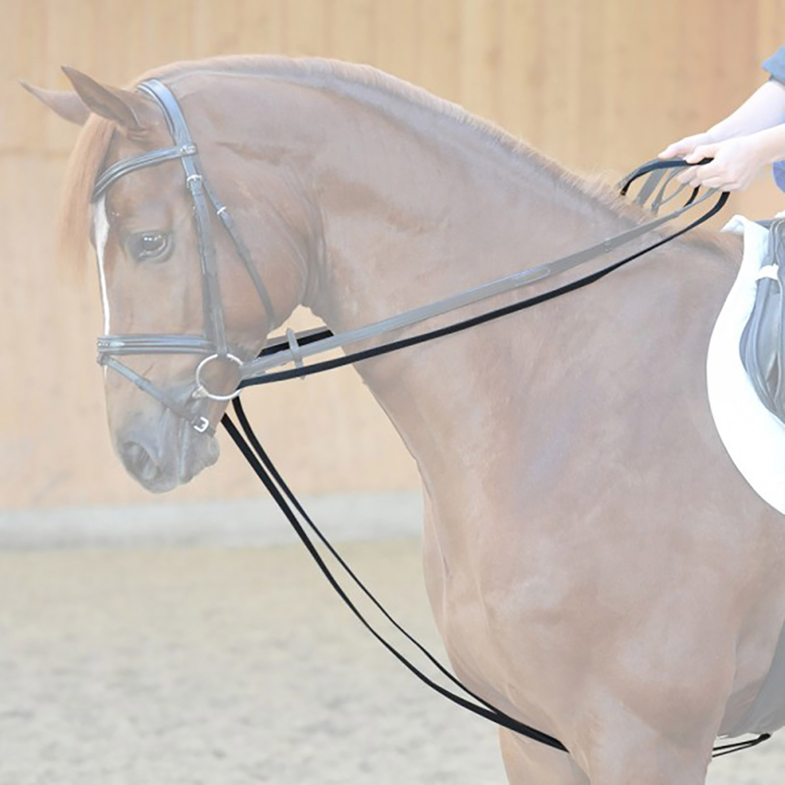 Kavalkade Tøjler 16mm, læder