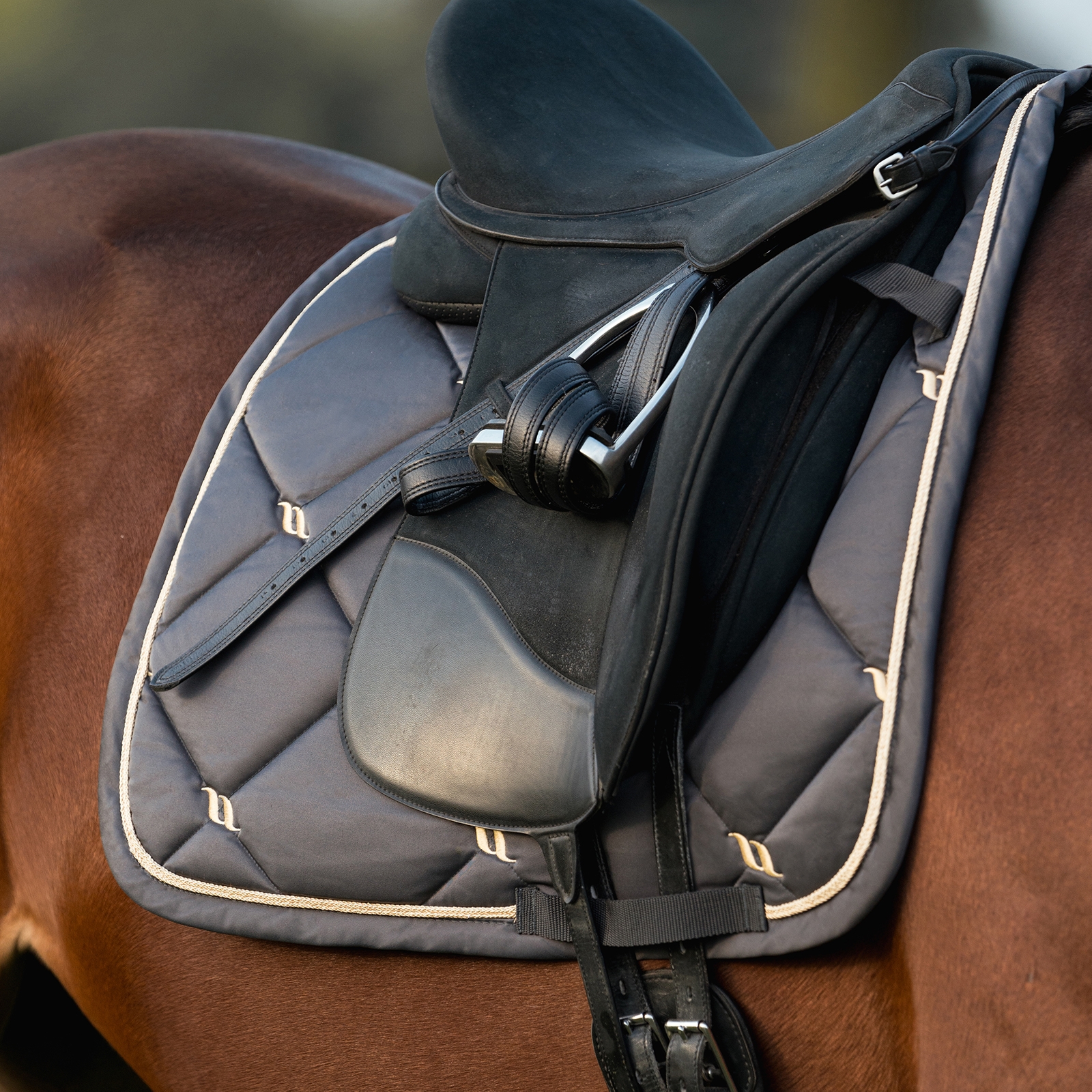 Back on Track Nights Collection Sadelunderlag Dressur